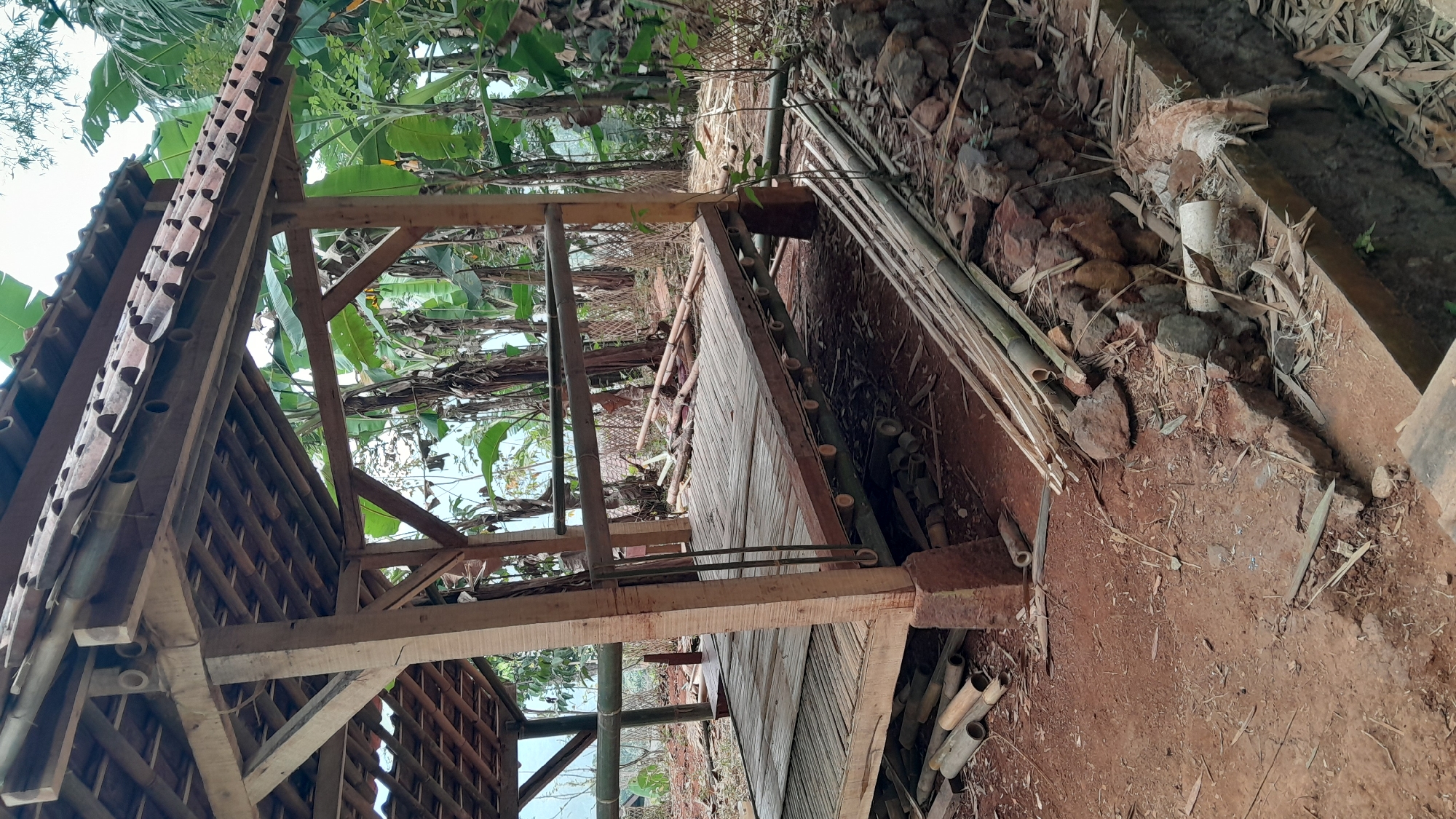 The image depicts an outdoor scene featuring a partially constructed bamboo gazebo with a tiled roof. The gazebo has a wooden frame and a floor made of bamboo planks. Several piles of bamboo poles and logs are scattered around the base of the structure, along with some rocks and dry leaves. In the background, lush green banana trees and other vegetation are visible, suggesting a tropical or subtropical environment. The ground is covered in reddish-brown soil. The overall impression is one of a rural or semi-rural setting in Sumedang, Indonesia, where construction is underway or materials are being prepared. There are no people visible in the image.