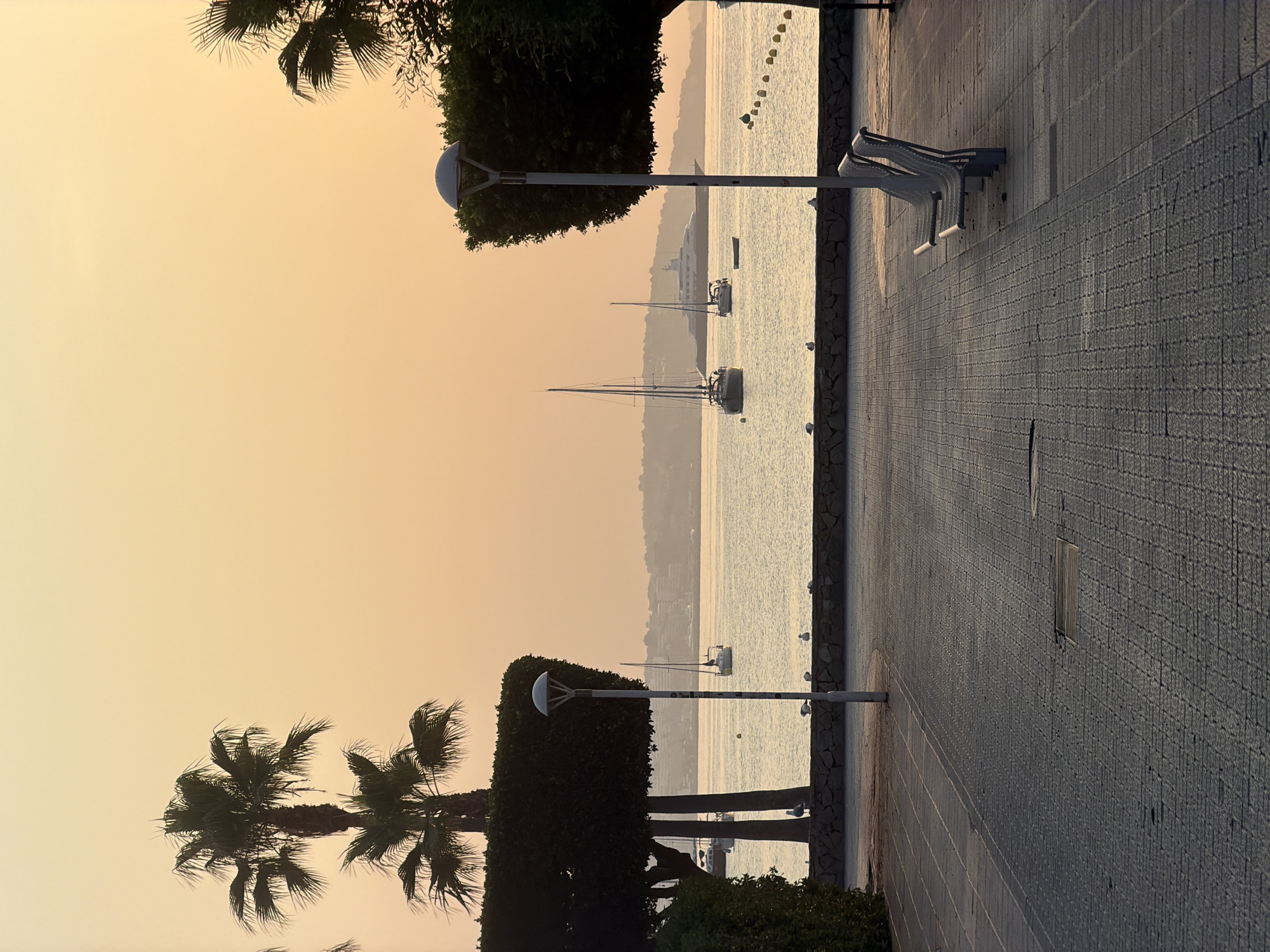 The image depicts a serene waterside promenade at sunrise or sunset in Calvià, Spain. The foreground features a paved walkway with a textured, repeating pattern, leading towards two modern metal benches. A solitary lamppost with a domed light fixture stands to the left of the benches. Beyond the walkway, a low stone wall borders a body of calm water. Several seagulls are visible perched on this wall.
The water is dotted with various sailboats, their masts silhouetted against the soft, peachy-orange sky. In the distance, a large yacht is anchored, and the hazy outline of a coastline with buildings can be seen. Palm trees, their fronds distinct against the sky, frame the left side of the scene, one appearing larger and more mature than the other behind it. Lush, dark green, manicured shrubbery also lines the edge of the promenade. The overall atmosphere is tranquil and picturesque.