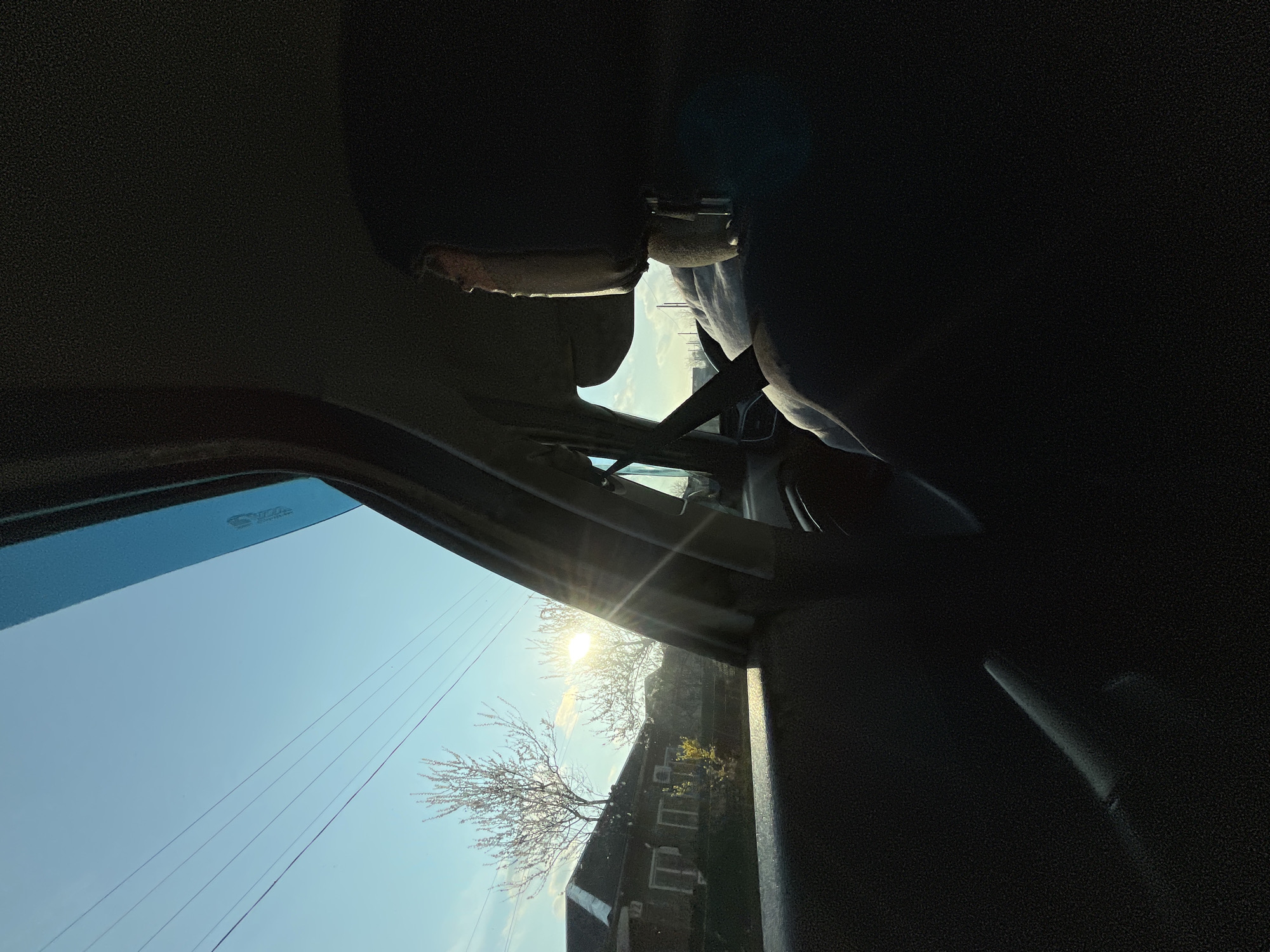 The image shows a view from inside a vehicle, looking out the driver's side window. The sun shines brightly through leafless tree branches, illuminating a two-story building with white windows, likely a residential home. Power lines are visible against the blue sky. The vehicle's sun visor is partially extended. It is not possible to verify the location as Novopokrovskaya, Russia.