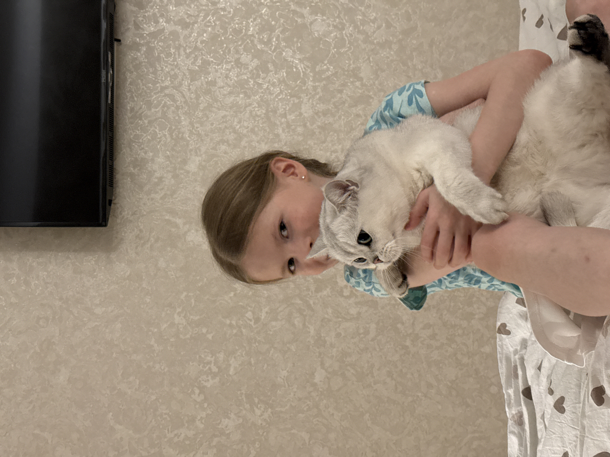 A young girl is holding a white cat. She is wearing a blue patterned shirt. The cat is large and fluffy, with a black tail. The background includes a wall with textured wallpaper and a black television. The image was likely taken indoors. There is a bed sheet printed with hearts that appears to be partially visible in the corner. There is no location data in the image.