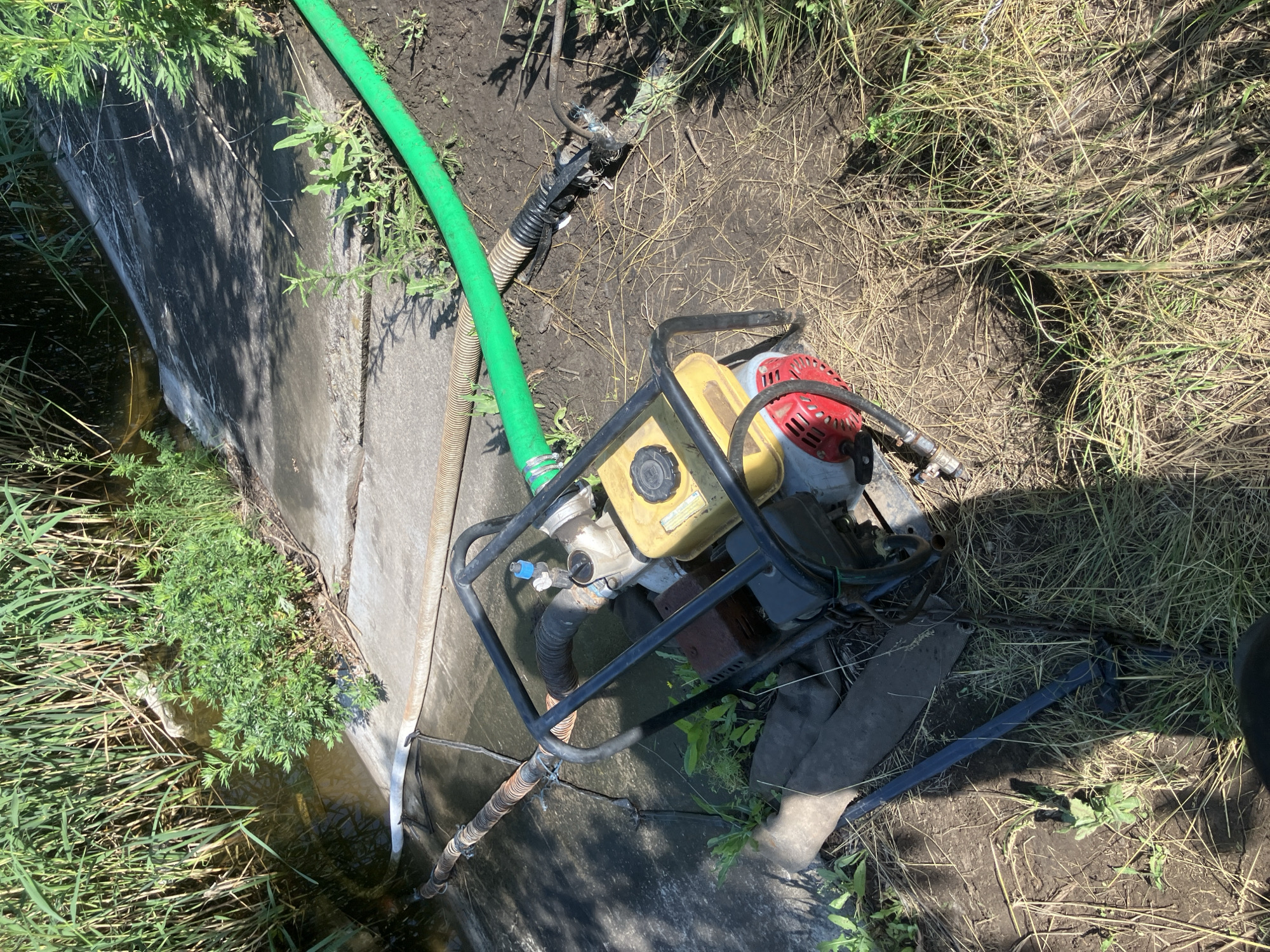 In Berdyansk, Ukraine, a portable water pump is situated on the muddy bank of a narrow waterway. Tall green reeds line the water's edge, contrasting with the concrete structure that forms the waterway's bank. A beige corrugated hose extends from the water, connecting to the pump's intake. A bright green hose, likely for the pump's output, runs away from the scene across the dirt and dry grass. The pump itself is yellow and red, mounted on a black metal frame, and appears to be operational. The surrounding environment is natural and somewhat unkempt, with dry grass and sparse green weeds. The lighting suggests it is a sunny day.