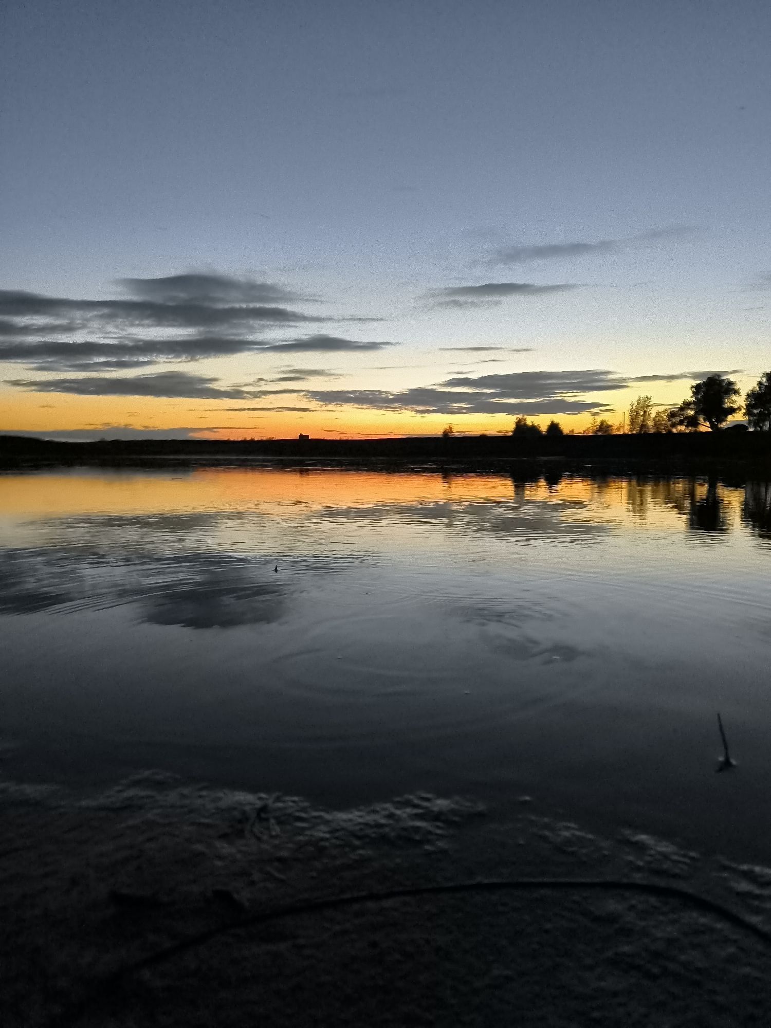 The image depicts a tranquil sunset over a body of water in Zagotzerno, Russia. The sky transitions from a pale blue at the top to a vibrant orange and yellow band near the horizon, where scattered clouds are visible. Silhouetted trees and a building are discernible along the distant shoreline. The calm water perfectly reflects the colors of the sky and the silhouettes of the trees, creating a symmetrical and serene scene. Small ripples disturb the surface of the water in the foreground, with a single dark object, possibly a fishing line or a reed, protruding from the water on the right side of the frame. The foreground consists of a dark, textured shoreline.