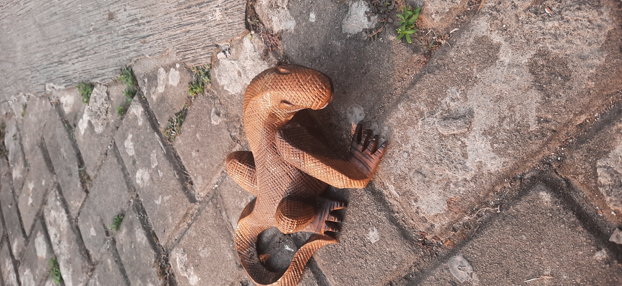 A carved wooden lizard figurine lies on a paved walkway in Cisauk, Indonesia. The figurine is brown and intricately carved with a textured pattern on its body, resembling scales. It is positioned on its stomach, with its legs splayed out. The walkway is made of rectangular gray paving stones, some of which are slightly uneven. Small green weeds are growing in the cracks between the stones and along the edge of the walkway, where it meets a strip of concrete. The lighting suggests it is daytime, possibly late afternoon, given the shadows.