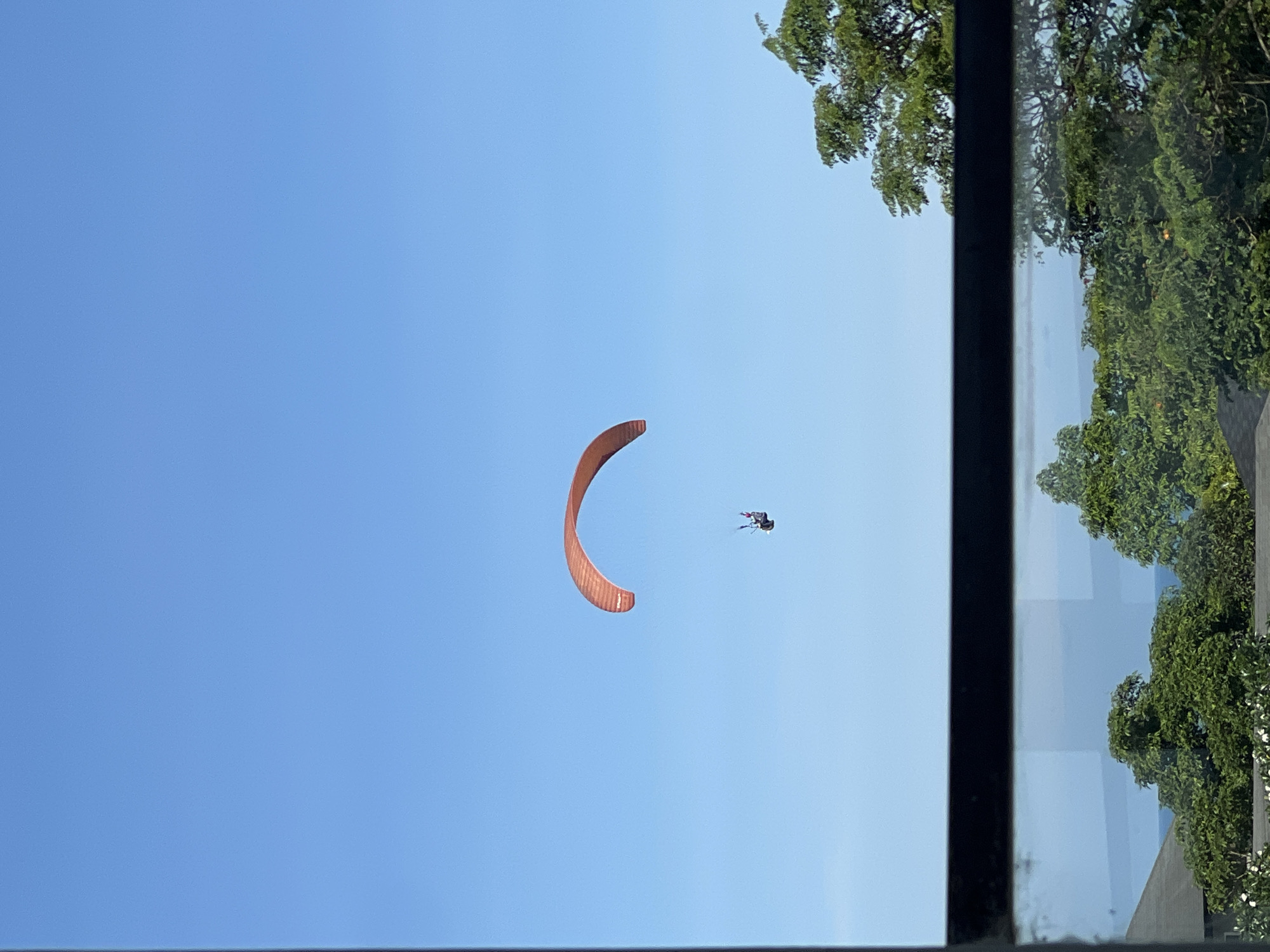 The image displays a paraglider against a clear blue sky. The overall scene appears to be rotated 90 degrees clockwise. A vibrant, reddish-orange paragliding canopy, shaped like a crescent, is positioned towards the center-left of the frame. A small, dark figure, representing the paraglider pilot, is discernible below the canopy. The right side of the image is bordered by a dark, vertical window frame. Beyond this frame, and subtly reflected within the window glass, is dense green foliage belonging to trees. The bright, cloudless sky indicates a clear and sunny daytime, suggesting ideal weather conditions for paragliding. The viewpoint appears to be from inside a building or through a window. No text is visible.