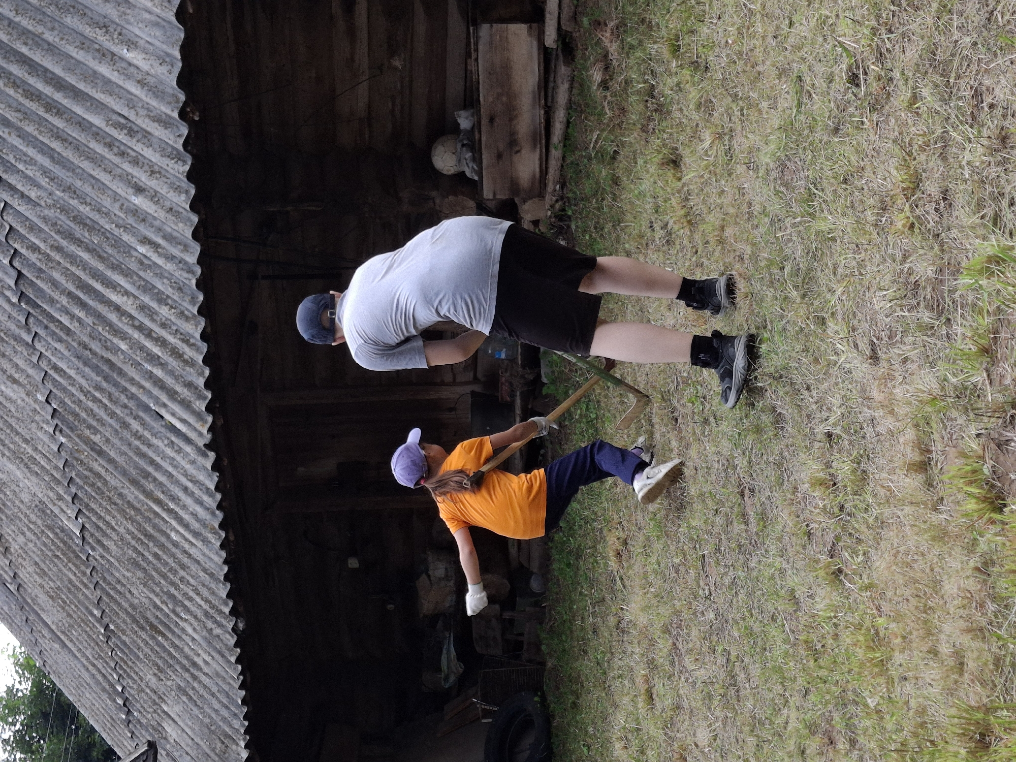 In Plishkino, Russia, a girl in an orange t-shirt and a boy in a grey t-shirt are working outdoors in front of a rustic wooden building with a corrugated metal roof. The girl, wearing a purple cap and white gloves, is using a hoe to tend to the dry, grassy ground. The boy, wearing a blue cap and black shorts, is also holding a tool, seemingly assisting in the yard work. The background shows the weathered facade of the building, with some objects and debris scattered around. The overall scene depicts a rural setting where individuals are engaged in manual labor.