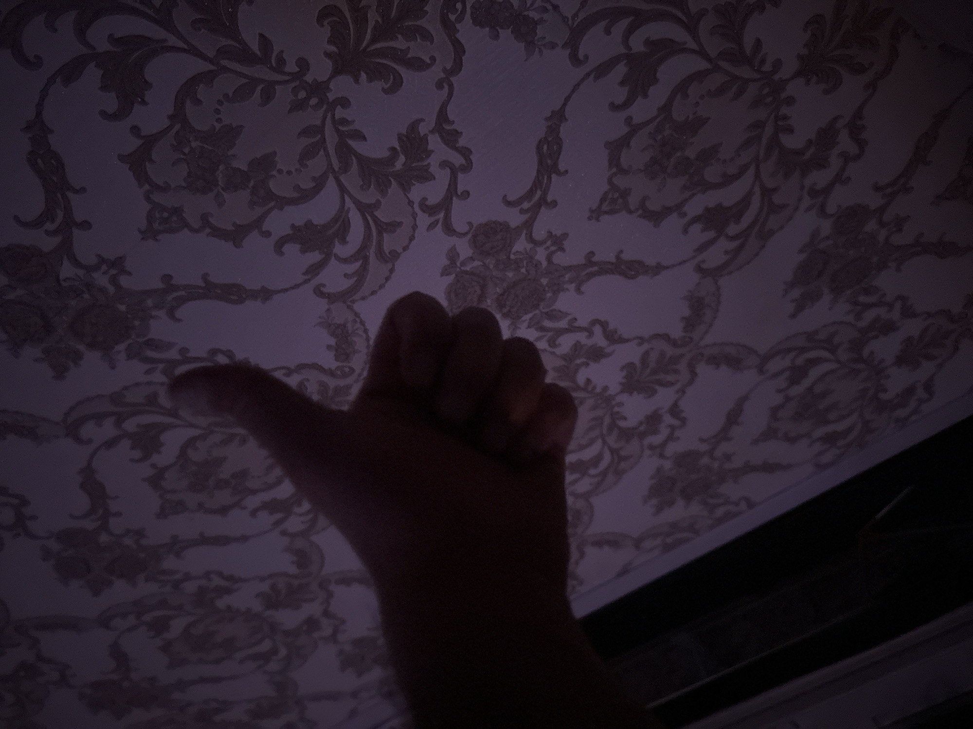 A hand is held up in a thumbs-up gesture against a dark purple, patterned wallpaper. The hand is silhouetted and partially obscures the wallpaper design, which features ornate floral and scroll motifs. The lighting suggests a dimly lit interior. No location in Tashkent, Uzbekistan, can be determined from the image.