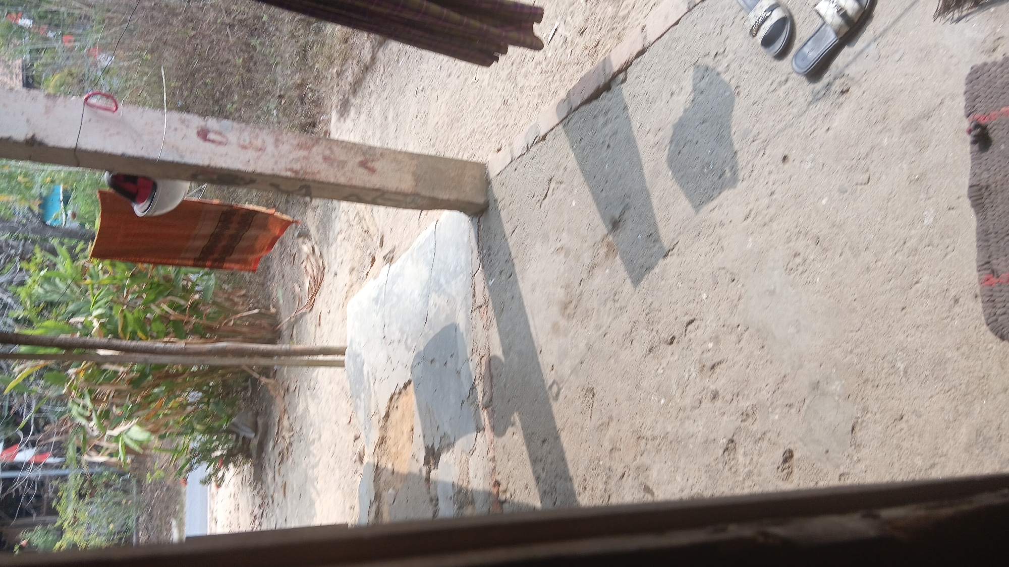 This is an outdoor scene, likely in a rural or suburban area of Prabumulih, Indonesia, during daylight. The image captures a view from what appears to be a covered porch or entrance. In the foreground, there is a concrete floor, with some debris and shadows cast from an unseen structure. To the right, a pair of black and white slip-on sandals are visible on the ground.
Further back, there is a concrete pillar supporting the overhead structure. Hanging from a wire attached to this pillar is a piece of orange fabric with black stripes, possibly a sarong or cloth. A white bowl with red accents is also hanging nearby. Behind this, there is dense green vegetation and trees, with some dry leaves and branches scattered on the ground. A road is visible in the background, with some indications of traffic signs or flags. A dark, patterned fabric is hanging on the far right of the image, obscuring a portion of the background. The overall impression is one of a simple, lived-in outdoor space in a tropical or subtropical environment.