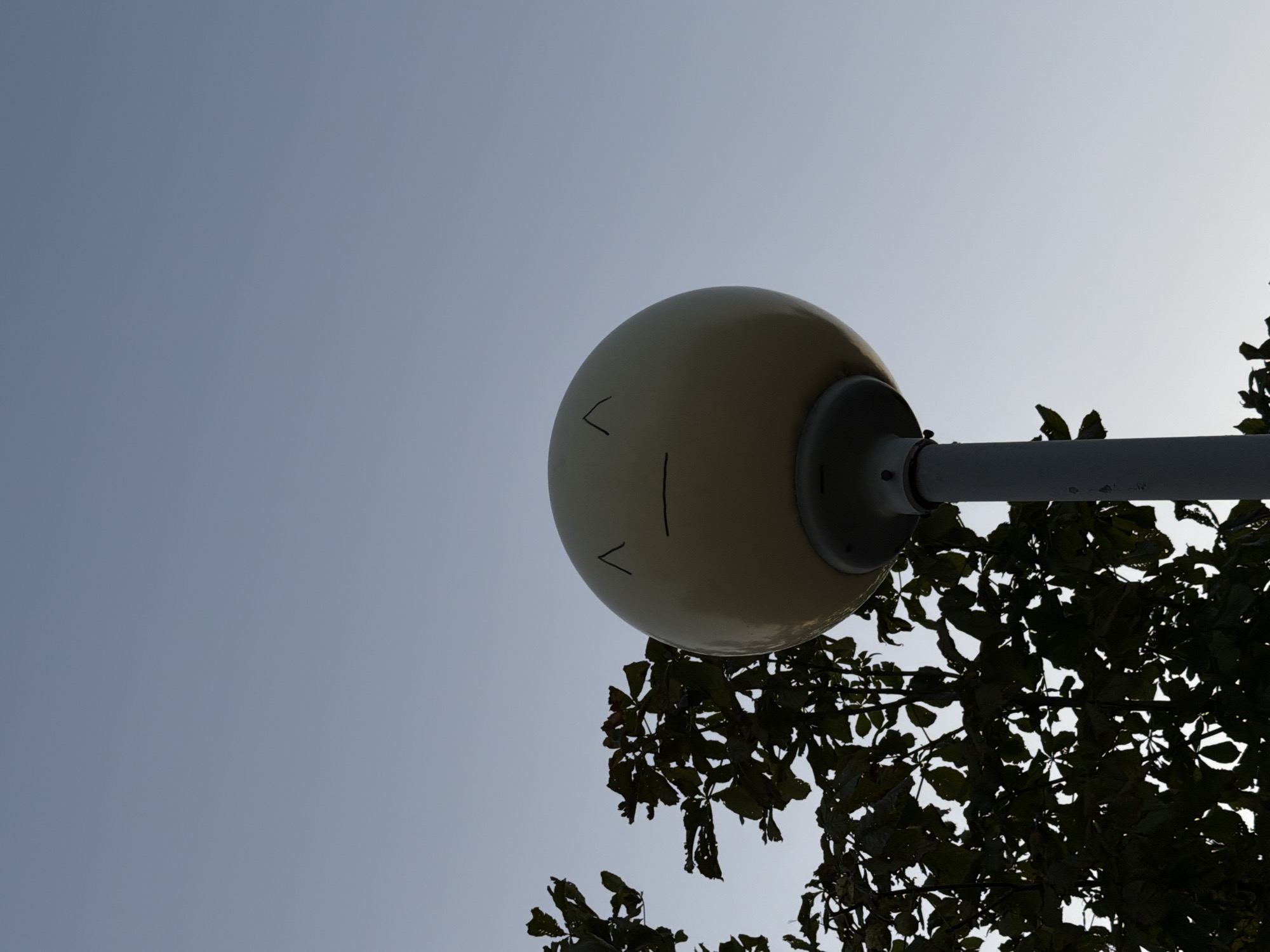 A street lamp with a simplistic smiley face drawn on it is positioned in the lower half of the frame, against a pale blue sky. To the left of the lamp, silhouetted against the sky, is a dark green tree with sparse leaves. The lamp itself is a round, pale yellow orb mounted on a grey pole. The drawn face consists of two short, upward-angled lines for eyebrows and a straight horizontal line for a mouth. The scene appears to be outdoors, possibly in a park or along a street. The image does not contain any people, actions, or interactions. There is no specific information to suggest the location is in the city of Kamyshin, Russia.