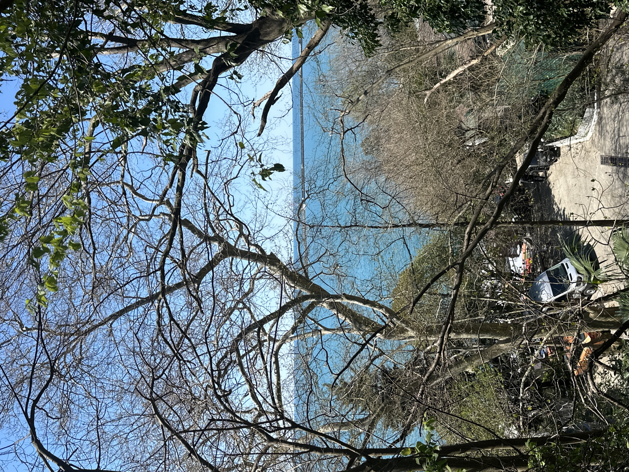 The image depicts a view of the Black Sea through trees, with the city of Sochi, Russia visible on the right side. On the right side there is a white vehicle parked in the street. The sky is blue, and the water appears turquoise. The foreground features bare tree branches.