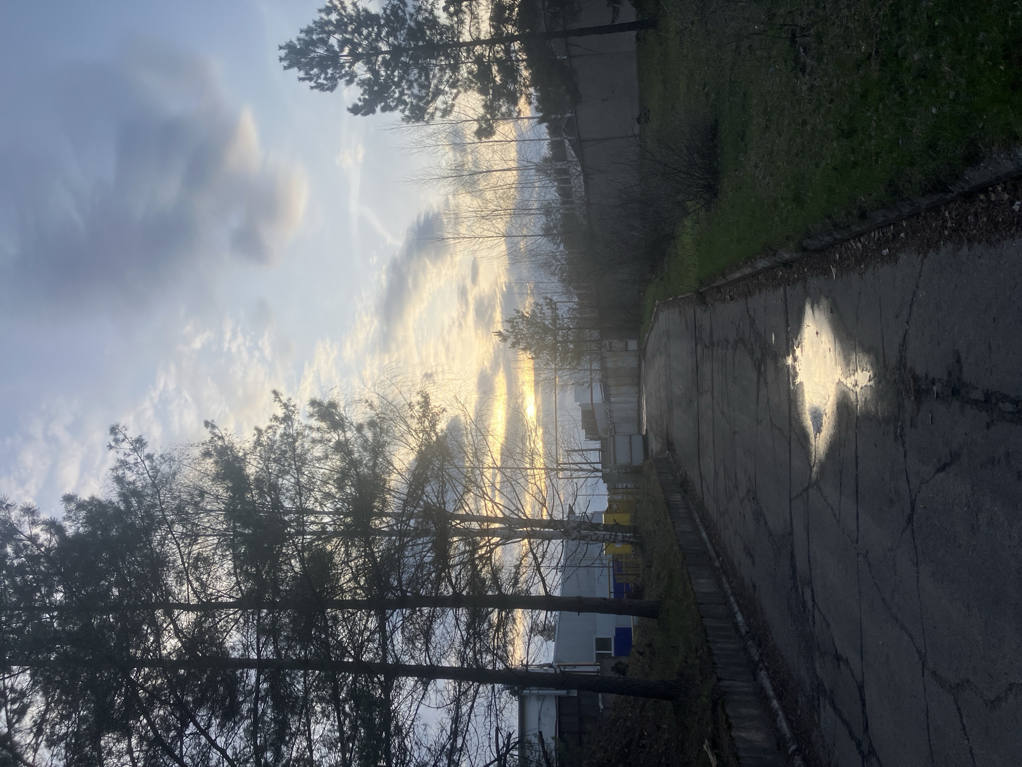 A slightly rotated, eye-level shot presents a cracked asphalt road receding into the distance. To the left, bare trees frame the image, their branches silhouetted against a sky streaked with clouds and sunlight. Adjacent to the road on the right, a patch of grass and foliage is visible. In the background, indistinct structures suggest an urban setting. The image is taken on an overcast day in Noviy, Russia, as the urban background suggests an urban setting and the file name suggests the location.
