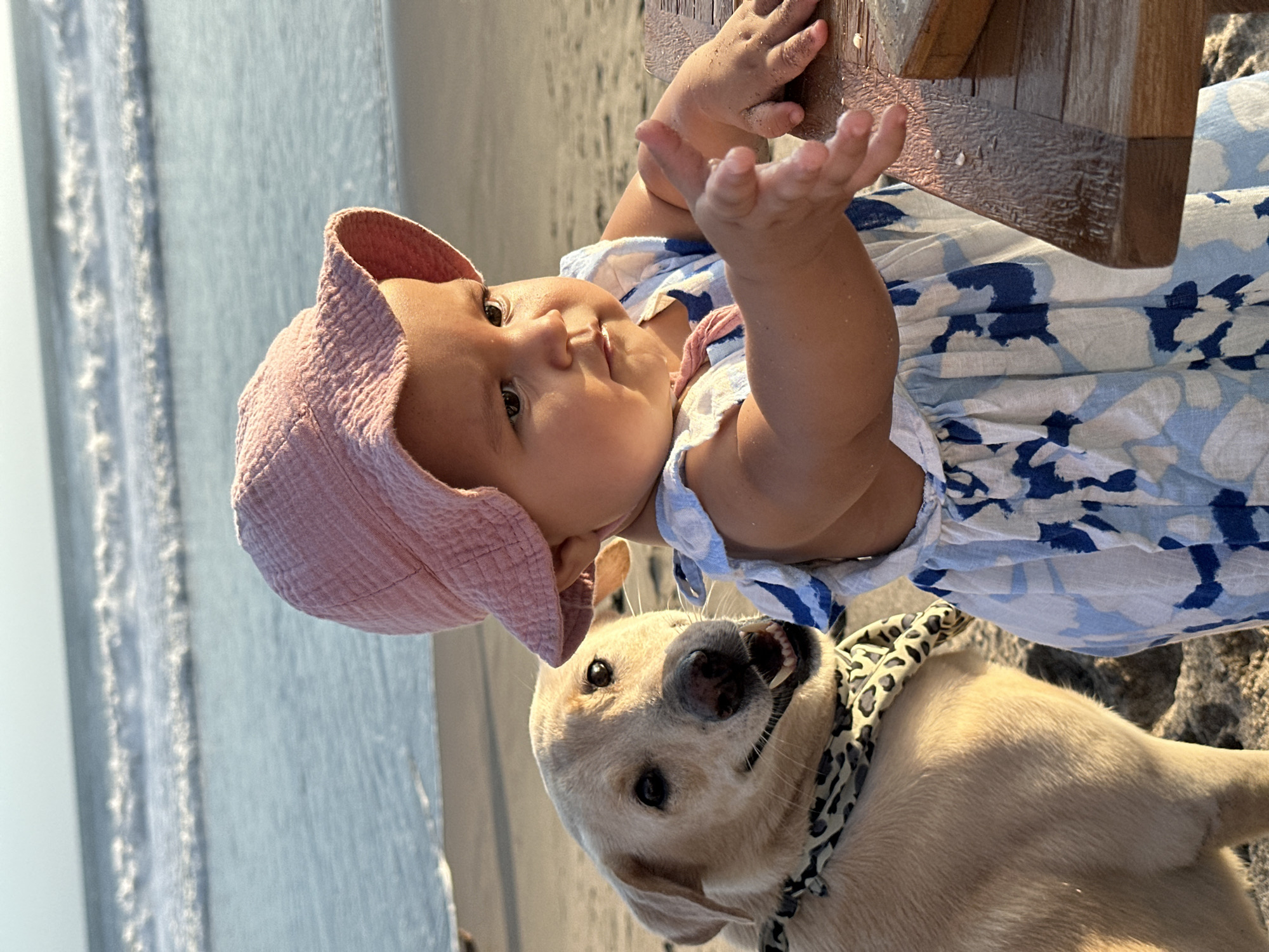 A baby wearing a pink bonnet and a blue and white floral dress is sitting on a wooden object. The baby's hands are outstretched, and the baby is looking to the right. A dog wearing a leopard-print collar is underneath the baby, looking at the camera. The background shows a beach and the ocean. The location is North Kuta, Indonesia.