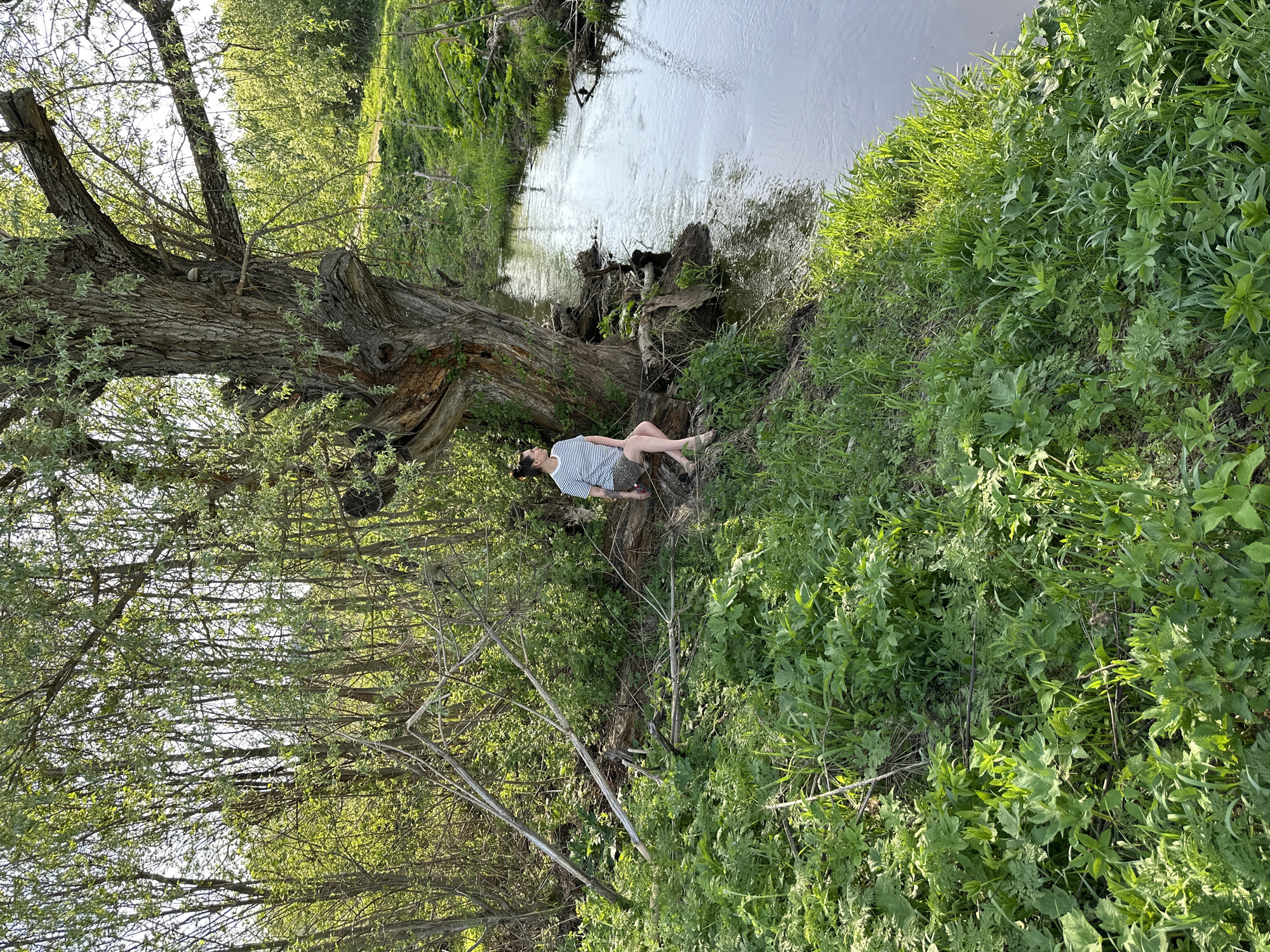 The image shows a woman sitting on a fallen tree trunk beside a stream. The location is Альняш, Russia. The woman is wearing a striped top and dark leggings. She is sitting with her legs extended towards the stream. The stream flows through a green, overgrown area. The trunk lies near the bank. A large tree towers over the woman. The scene appears to be taken during daytime.