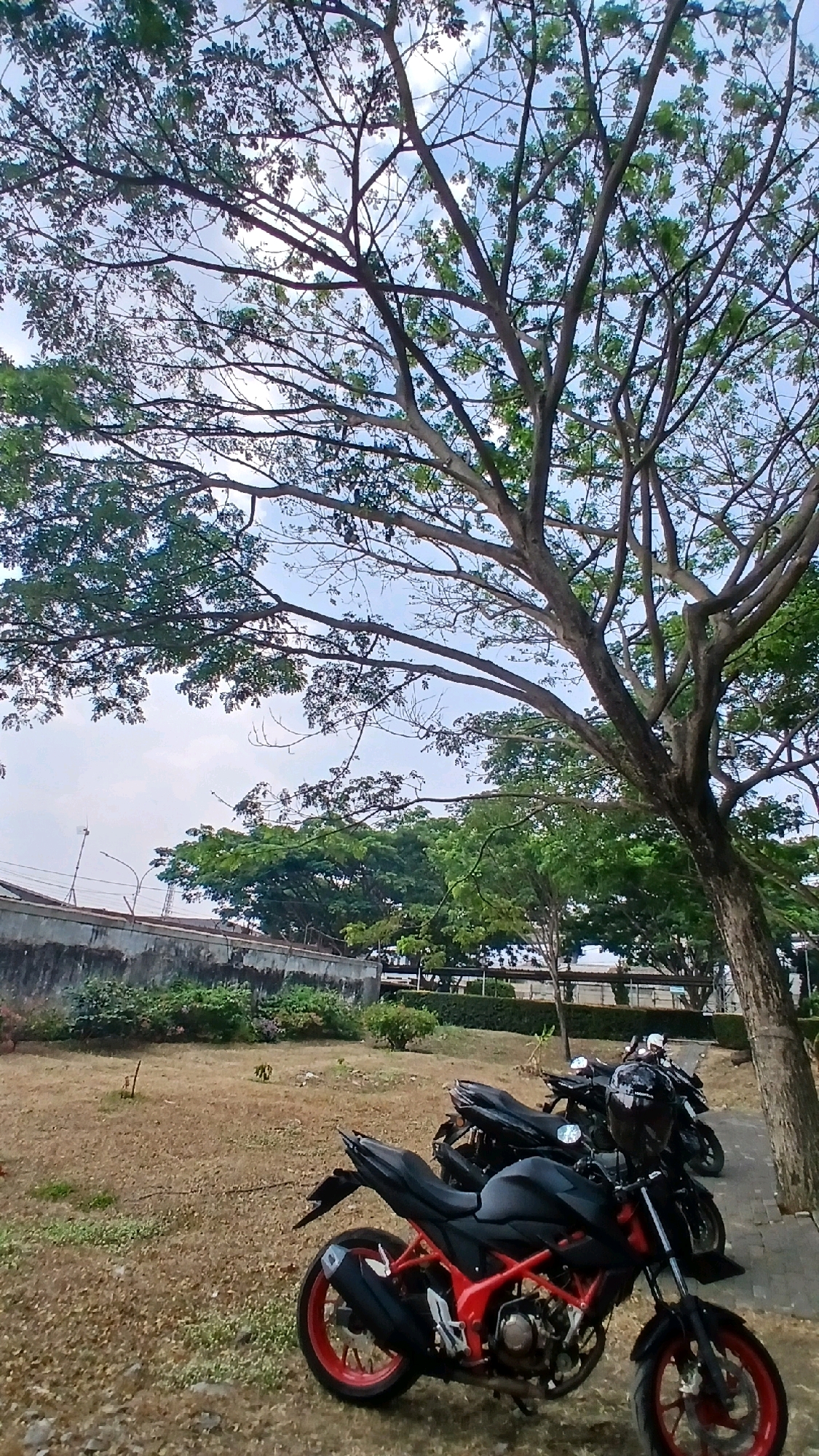 The image shows two black motorcycles parked on a dry, grassy area. The motorcycle in the foreground is a sport bike with red accents on its frame and wheels. A black helmet is placed on the handlebars of the motorcycle behind it. In the background, there is a concrete wall, lush green trees, and a bright sky with some clouds. The scene appears to be an outdoor area in Gadobangkong, Indonesia, possibly a parking lot or a park.