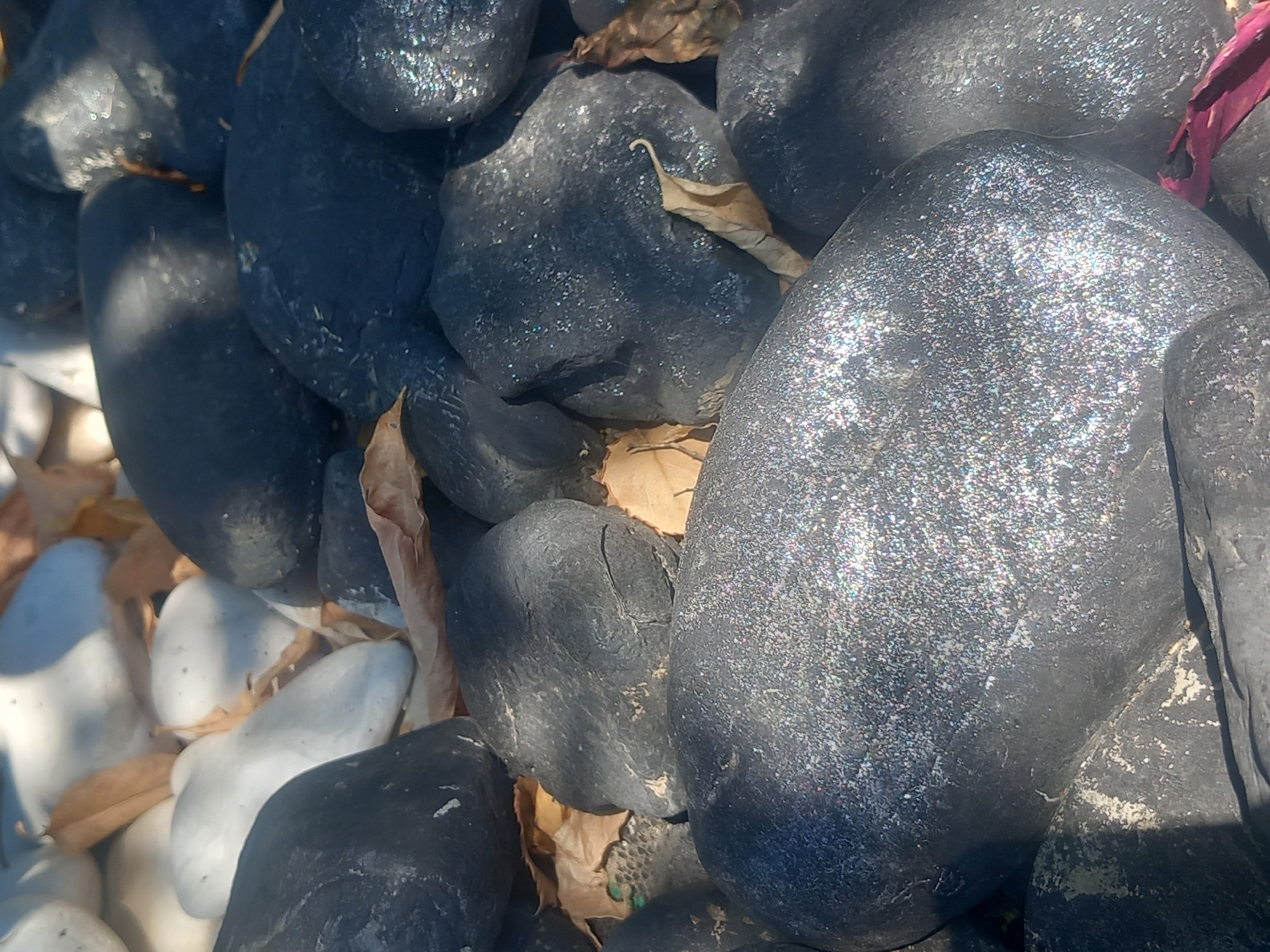 A close-up, vertical shot displays a collection of smooth, rounded rocks. The rocks vary in color from deep black to stark white. Several of the darker rocks possess a shimmering, speckled surface, suggesting they are coated or contain reflective particles. Dry, brown leaves are scattered among the rocks, adding texture and color contrast. The lighting indicates an outdoor setting, with dappled sunlight casting shadows across the scene. The arrangement of rocks and leaves suggests a decorative landscaping element, potentially in a garden or a pathway. No people are visible in the image.