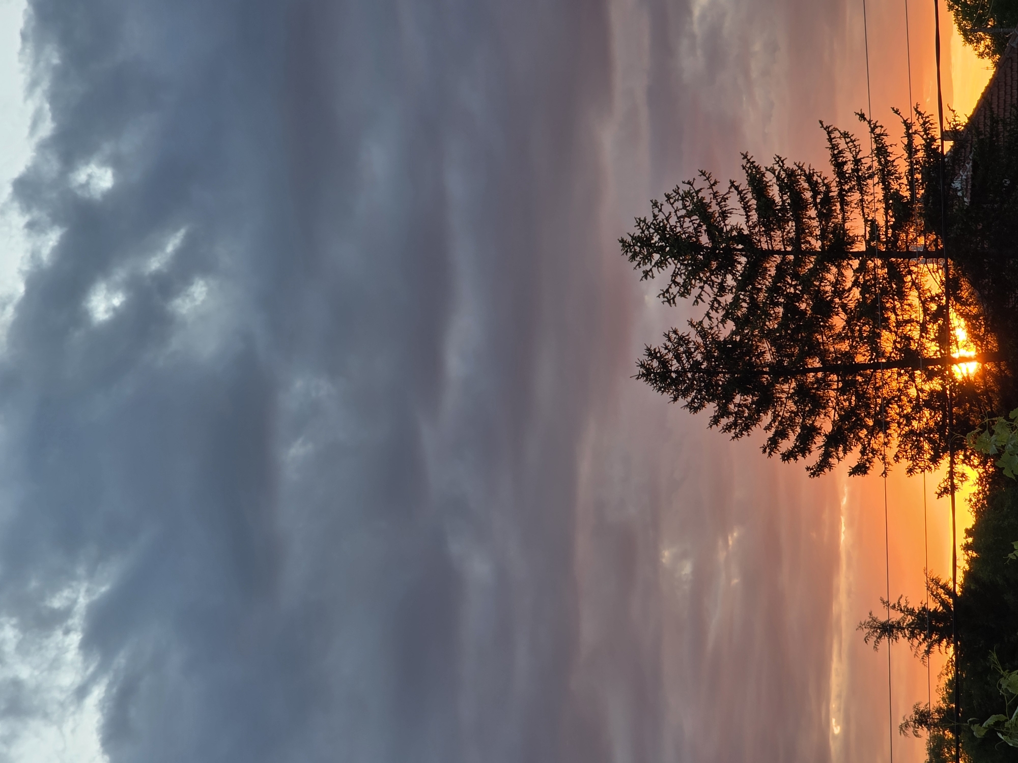 The image depicts a sunset scene in Yagodovo, Bulgaria. A dark, overcast sky occupies the left half of the frame, transitioning into a vibrant orange and pink sunset on the right. Silhouetted trees stand against the bright sunset, with the sun partially obscured by the foliage. Electrical wires are visible, running horizontally across the sunset-lit portion of the sky. The background contains the visible roofline of a building.