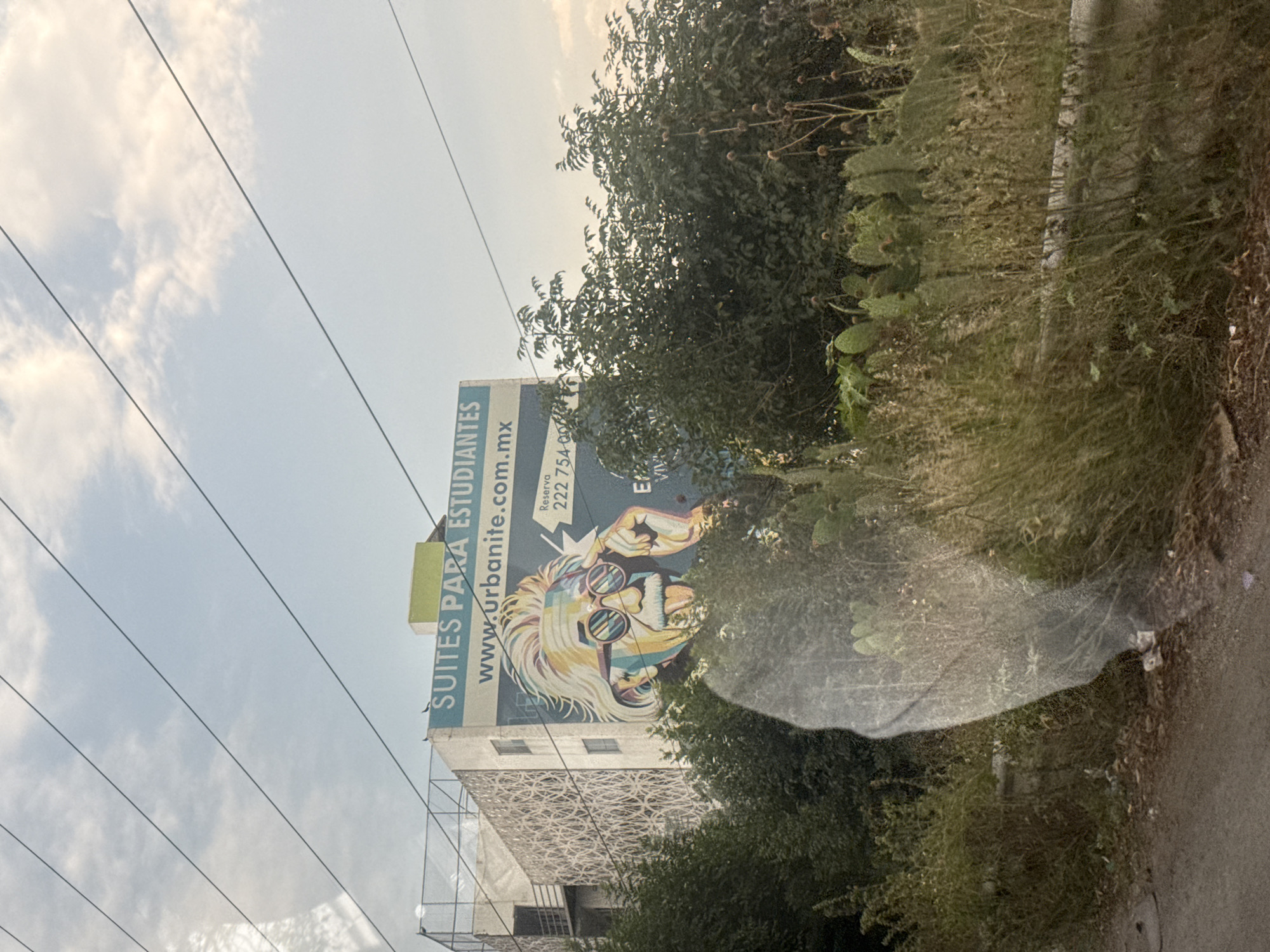 The image captures an outdoor scene, rotated 90 degrees clockwise, depicting a billboard and a building amidst vegetation under a cloudy sky. A large billboard dominates the upper right, advertising "SUITES PARA ESTUDIANTES" (Suites for Students). It features a colorful, stylized graphic of a person with blonde hair, a beard, and striped sunglasses. Below the main text, "www.urbanite.com.mx" is visible, along with "Reserva" and a partial phone number "222 754 000".
Below and to the left of the billboard, a multi-story building with an ornate, patterned facade on its visible lower section can be seen. Dense green trees and bushes surround the billboard and building, extending along what appears to be a roadside. Some cactus-like plants are also visible within the vegetation.
The upper left quadrant of the image shows a bright, cloudy sky intersected by several dark utility lines. The lower middle and right portions of the image are obscured by a significant reflection or glare, likely from a window, which partially covers the ground and lower vegetation. The ground appears to be a dirt path with some dry foliage. The lighting suggests it is daytime, with diffused light due to the cloud cover. No specific activity is taking place.