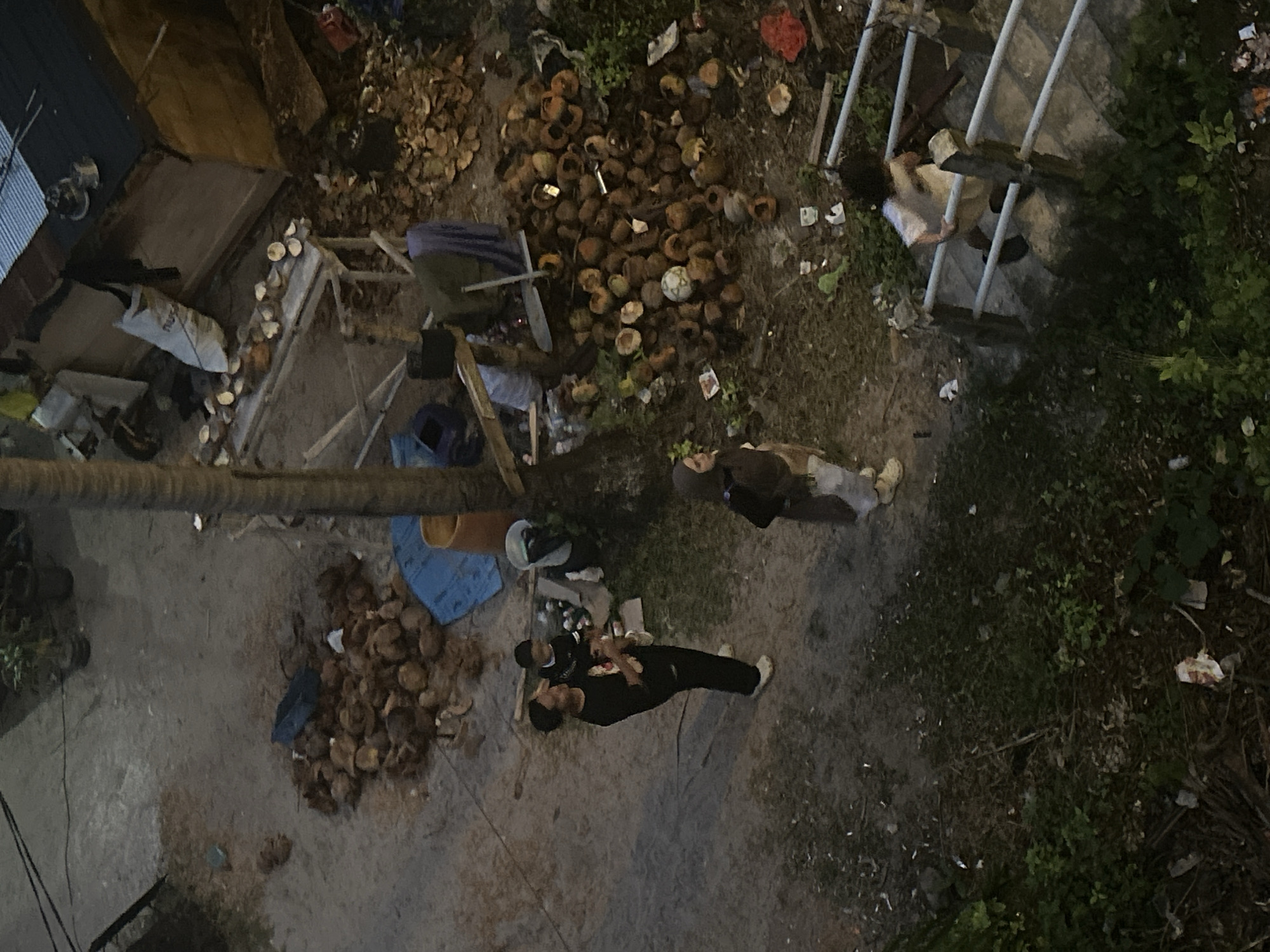 This aerial view captures an outdoor scene in A R A, Indonesia, at what appears to be dusk or nighttime, given the artificial lighting and shadows. The ground is a mixture of concrete and dirt, with patches of grass and foliage. Piles of discarded coconut shells are scattered throughout the area, suggesting activity related to coconut processing or consumption.
Several individuals are visible. In the lower center, a man in dark clothing stands facing away from the camera, with another person, possibly a child, standing next to him, also in dark attire. To the right, further up, two individuals are walking on a set of stairs. One is wearing a light-colored headscarf and a long, patterned garment, while the other is in dark clothing. Near the top right, a person in light clothing is partially visible leaning against a railing.
Objects in the scene include a large log or thick branch in the foreground, possibly a palm tree trunk, running horizontally across the frame. There are also various debris, including plastic bags and discarded items, contributing to a somewhat cluttered and unkempt appearance. A blue mat or tarp is visible on the ground. In the upper left, part of a corrugated metal structure suggests a small building or shelter.
The overall impression is of a humble, possibly semi-urban or rural environment where daily activities, perhaps involving the processing of coconuts, are taking place amidst a backdrop of residential or informal structures. There is no visible text in the image. The lighting creates a dim, slightly moody atmosphere.