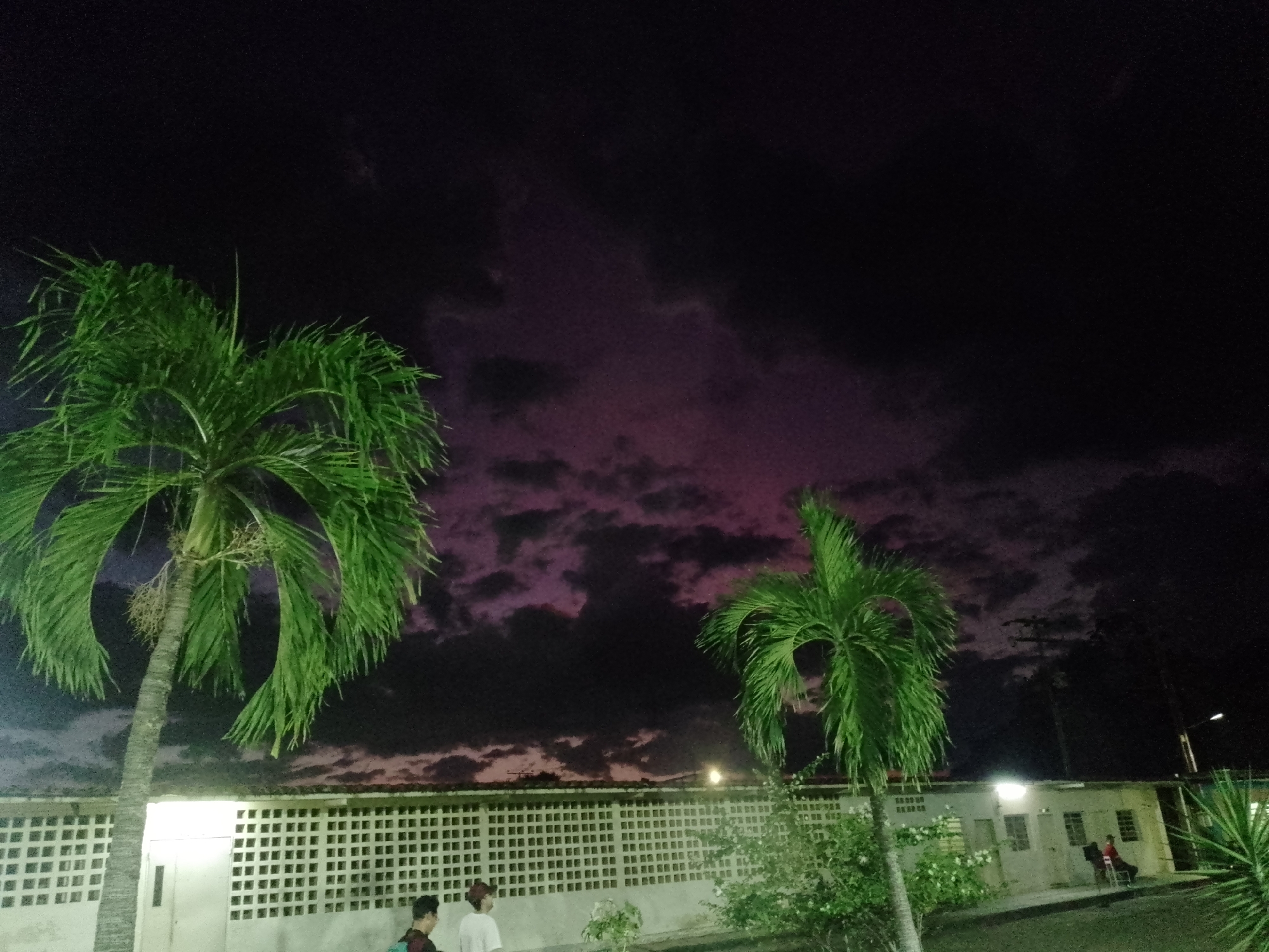 The image depicts a night scene in an unknown urban location. Two palm trees stand prominently in the foreground, illuminated by artificial light. Behind them, a long, low building or wall with a patterned facade stretches across the frame. The sky is dark, with patches of purple-tinged clouds visible. Several people are present, though their actions and interactions are unclear due to the darkness. A few individuals are standing near the wall, and a person sits on a chair near the end of the building. A street light is visible in the background. The overall environment suggests a public space or street at night.