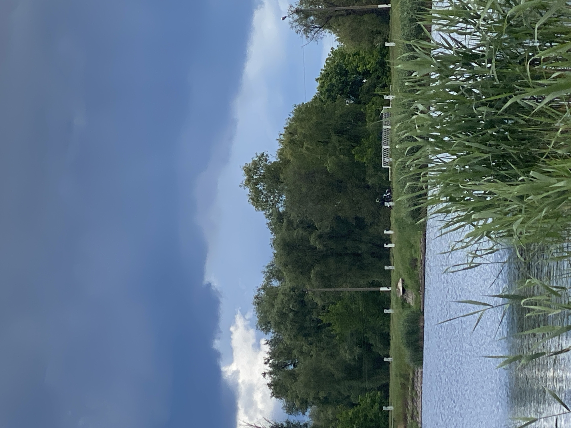 The image shows a landscape scene in Ustyvytsia, Ukraine, with a body of water on the right side of the image. Reeds or tall grasses are visible along the edge of the water. On the left side, a dark storm cloud dominates the sky, contrasting with the lighter sky and clouds toward the center. Trees and vegetation line the far side of the water. A series of white posts or pylons run along the shoreline.