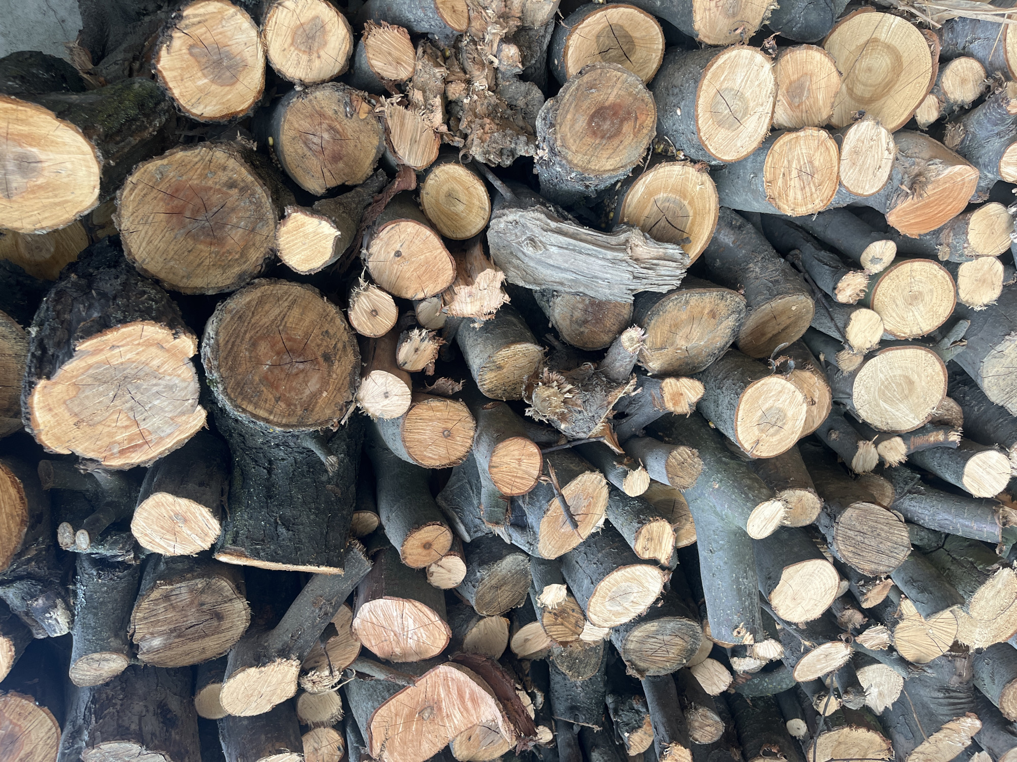 The image displays a large, haphazardly stacked pile of cut logs. The logs vary in diameter and length, with many showing exposed, rough-cut ends exhibiting wood grain and growth rings. The bark on the logs is dark and rough, with some appearing weathered and cracked. Interspersed among the logs are branches and smaller pieces of wood. The overall scene suggests a collection of firewood or lumber. The location is identified as Onokivtsi, Ukraine.