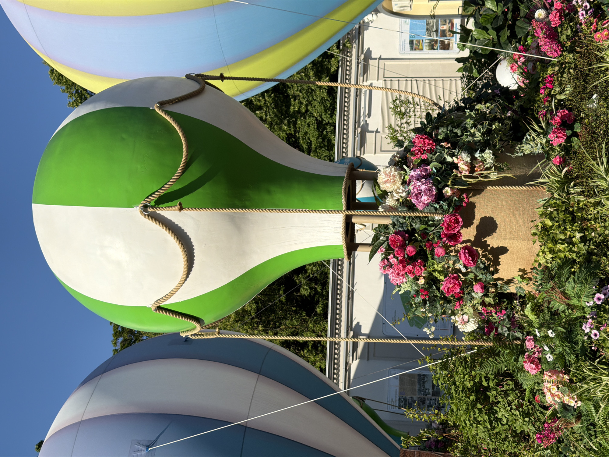 This image captures a vibrant and whimsical outdoor display featuring decorative hot air balloons and extensive floral arrangements, likely set in Moscow, Russia. The scene is brightly lit under a clear blue sky, suggesting a sunny morning or afternoon.
In the foreground, a large, green and white striped hot air balloon dominates the left side, secured by thick, braided ropes that run along its surface. Above it, part of a yellow and light blue striped balloon is visible, while below, another blue and white striped balloon is partially seen, extending out of frame. These balloons appear to be static installations rather than actual flying vessels.
On the right side of the frame, a lavish arrangement of colorful flowers and lush greenery creates a dense, vertical garden effect. A rustic, basket-like container, possibly representing a hot air balloon gondola or a large planter, overflows with pink, white, and purple blooms, including what appear to be hydrangeas and other smaller flowers. More foliage and flowers spill over, intertwining with the background elements.
The background features a light-colored building with classical architectural details and windows, partially obscured by the balloons and foliage. Green tree leaves are also visible behind the structures. Two indistinct rectangular plaques with unreadable text and images are visible on the building wall behind the floral arrangements. No people are present, and the overall impression is one of a cheerful and elaborate public decoration, evoking a festive or celebratory mood.