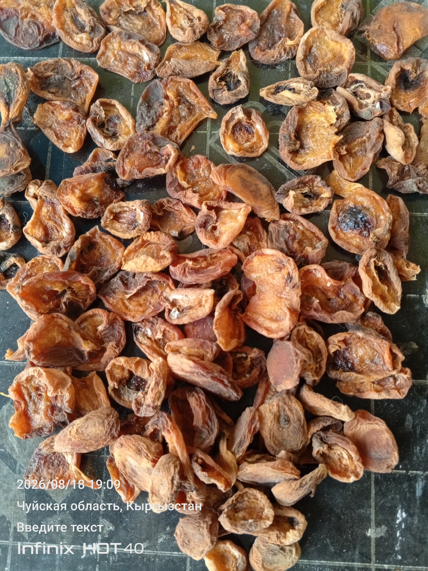 The image shows a pile of dried apricots spread across a dark, textured surface. The apricots vary in shape and size, with some appearing whole and others broken or folded. Their color ranges from light brown to a darker, almost burnt orange, indicating they have been dried. The surface beneath the apricots appears to be a dark, possibly black, mat or countertop with a subtle grid pattern visible in some areas. In the bottom left corner, there is text overlaying the image, which includes a date and time "2026/08/18 19:09", a location "Чуйская область, Кыргызстан" (Chuy Oblast, Kyrgyzstan), and device information "Infinix HOT 40". The overall impression is a still-life of dried fruit, likely prepared for consumption or storage.