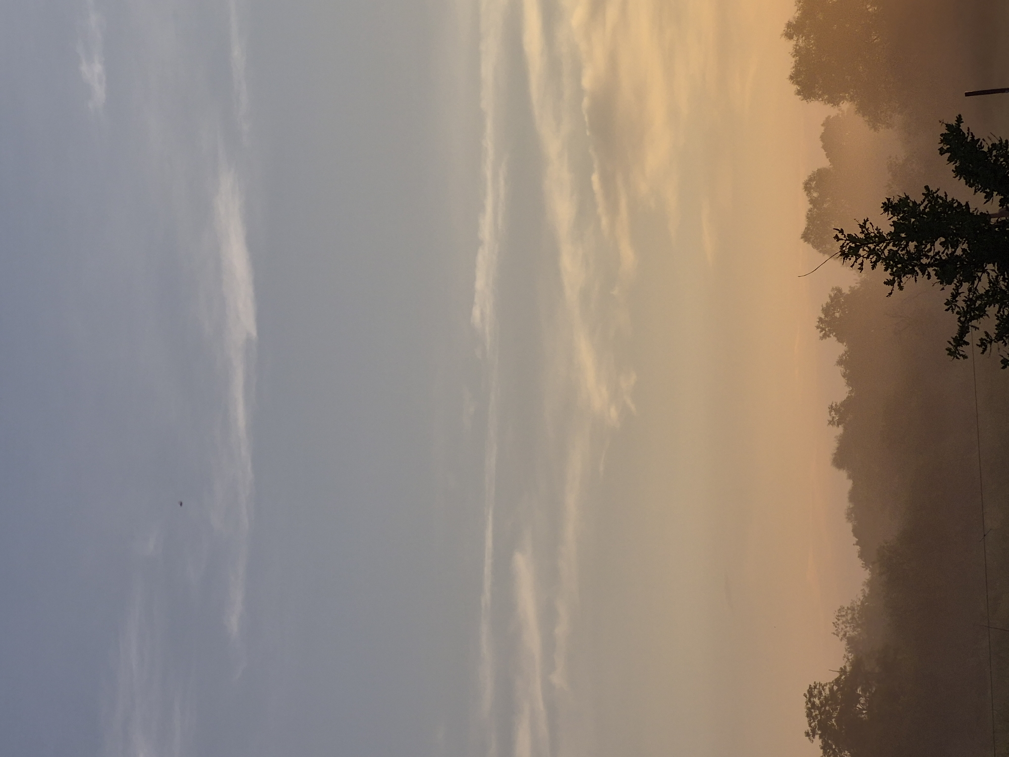 A serene, hazy landscape depicts the early morning or late evening sky over Sooblase, Estonia. The sky transitions from a soft blue at the top to a warm gradient of peach and orange near the horizon. Thin, wispy clouds are scattered across the sky, and a single, small dark object, possibly a bird or insect, is visible in the upper portion of the image.
Below the sky, a dense line of trees forms the horizon, silhouetted against the colorful sky. A thick layer of mist or fog blankets the lower parts of the trees, creating a soft, diffused effect. In the foreground, a dark, bare tree branch extends upwards from the right side of the image, partially obscuring the misty treeline. A thin wire, possibly part of a fence, runs horizontally across the lower portion of the image. The overall impression is one of tranquility and natural beauty.
