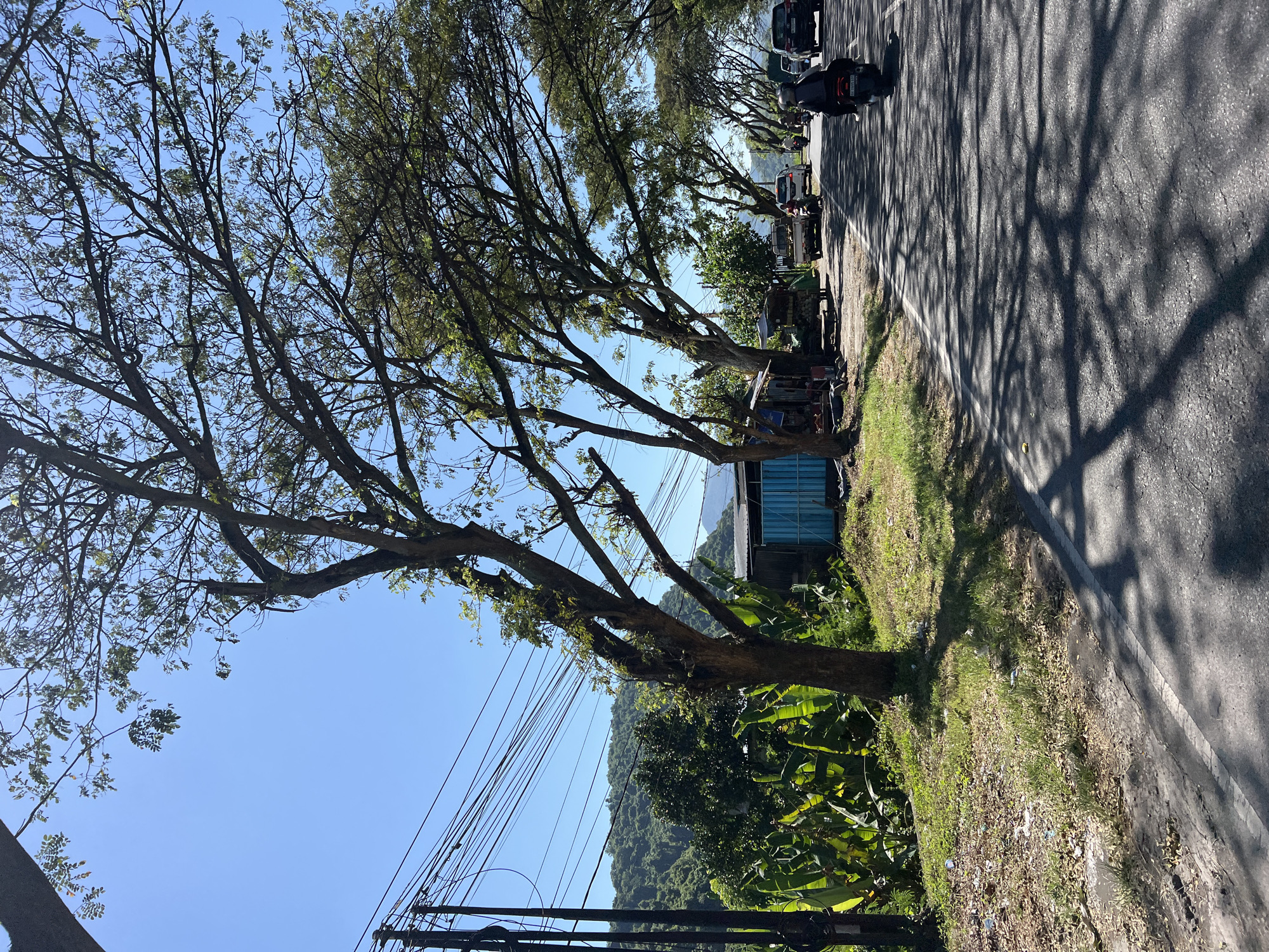 The image depicts a sun-drenched asphalt road in Dawan, Indonesia, bordered by a grassy embankment on the left and a dense canopy of trees arching over the road. The trees, with their intricate branches and sparse foliage, cast dappled shadows across the asphalt, creating a textured pattern.
On the left side of the road, a cluster of tall banana plants with large, vibrant green leaves thrives. Adjacent to the banana plants, a small, weathered building with a blue corrugated metal facade stands. A few rudimentary stalls are set up in front of it, possibly for local vendors. Utility poles with a multitude of electrical wires extend upwards, cutting across the clear blue sky. The landscape beyond the road is characterized by rolling green hills covered in lush vegetation, indicating a rural or semi-rural setting.
The road itself is a two-lane asphalt surface with a white dividing line. Traffic is visible, with several vehicles traveling in the same direction as the viewer. These include cars and motorcycles. In the foreground, a person is riding a motorcycle. Further down the road, other vehicles, including a truck, are also present. The overall impression is one of a typical day in a tropical or subtropical region, with a blend of natural scenery and man-made infrastructure.