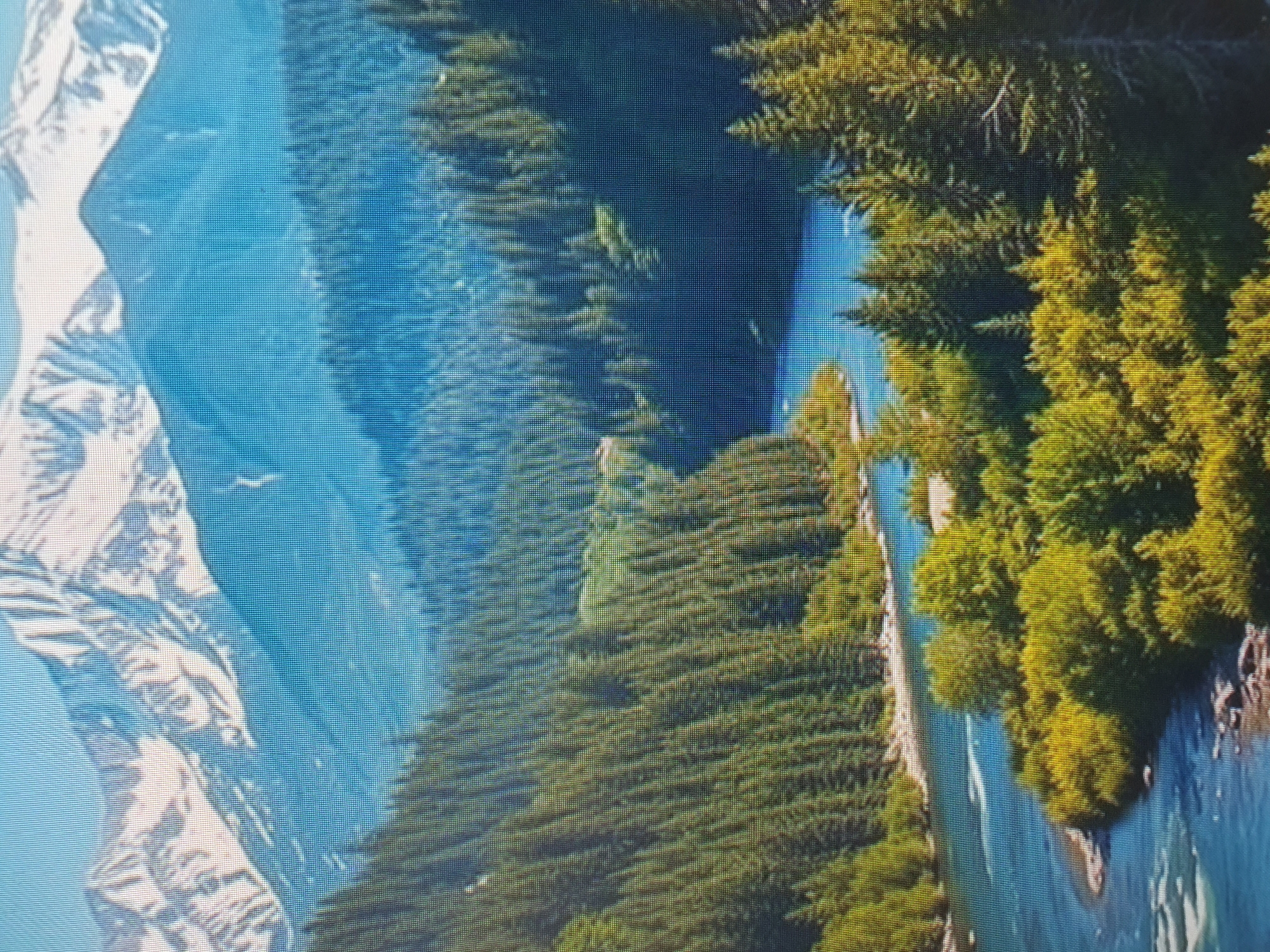 The image depicts a breathtaking mountain landscape with a winding river and lush green forests. In the foreground, a clear blue river flows through a valley dotted with trees. The river curves to the left, with rocky banks and patches of vegetation along its edges. Further back, dense evergreen forests cover the slopes of the mountains, which rise majestically in the background. The peaks of the mountains are capped with snow, suggesting a high-altitude location. The sky is a clear, bright blue. There are no people or man-made structures visible in the scene, indicating a natural and wild environment. The scene is a picturesque panorama of natural beauty, characteristic of a mountainous region. The image does not depict any location within the city of Tashkent, Uzbekistan, as it portrays a remote natural landscape.