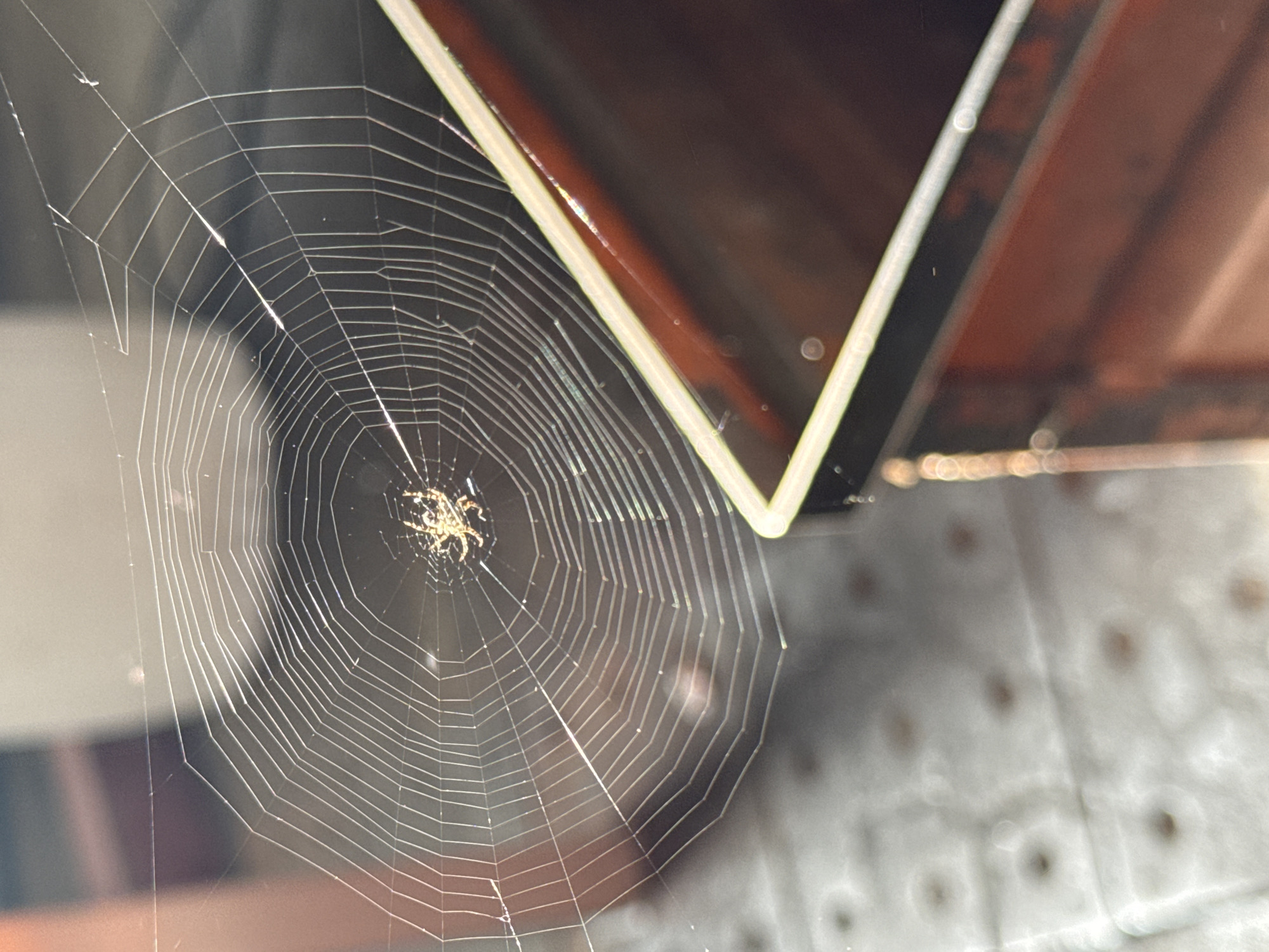 A spider web is constructed in an outdoor setting in the city of Chaikovsky, Russia. The web's radial threads intersect with concentric, sticky capture threads. A spider is at the center of the web. Part of a triangular or partially triangular-shaped metallic roof structure with a light-colored edge is on the right side of the frame. The background shows blurred forms, including a surface with a pattern of dark spots.