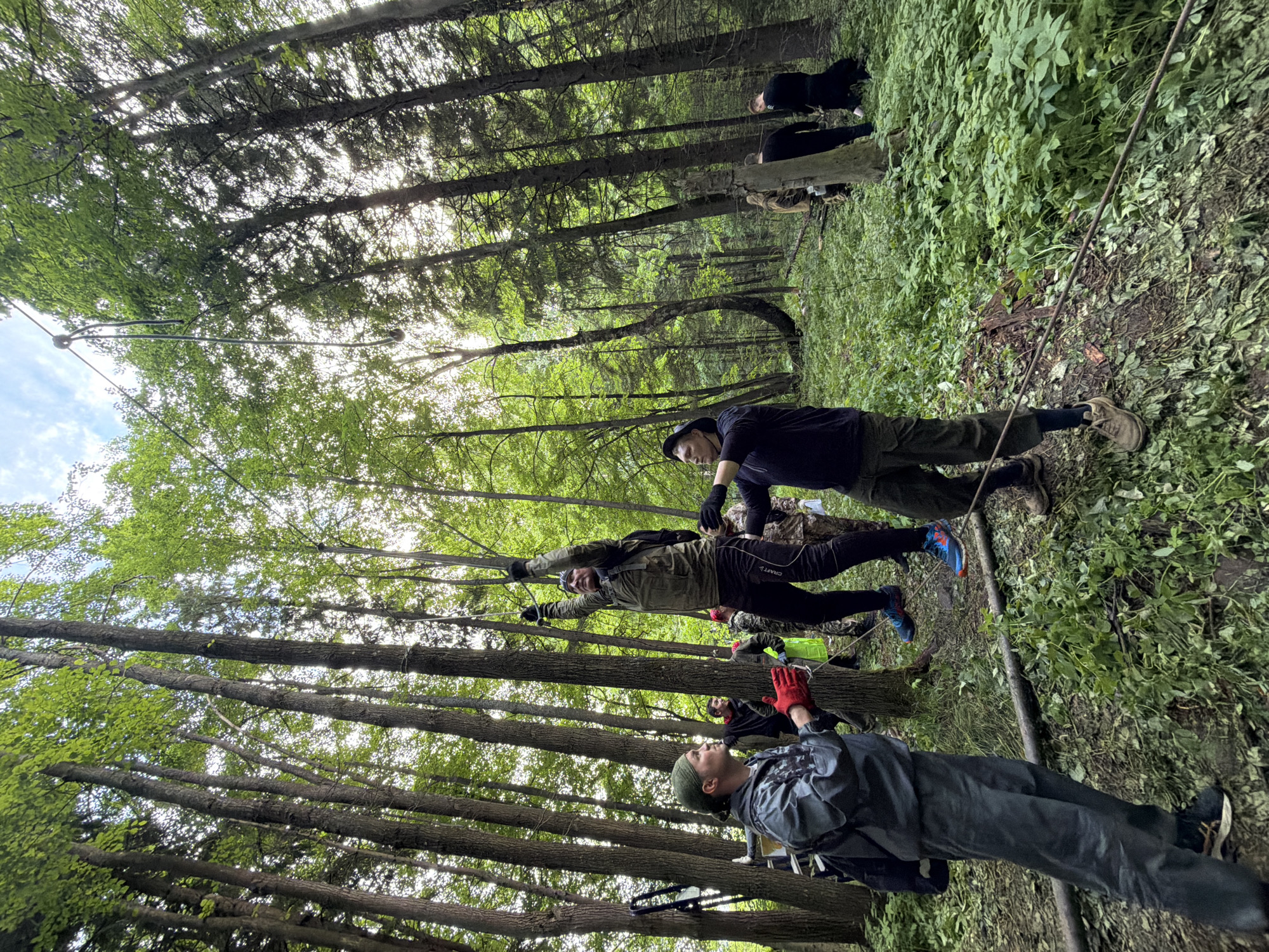 The image depicts an outdoor activity taking place in a dense forest, located in the city of Kechur, Russia, under overcast daylight conditions. Numerous tall, slender trees with green foliage, both deciduous and coniferous, form a thick canopy overhead, with bright sunlight filtering through the leaves from above.
In the center of the frame, a male individual, dressed in a tactical-style olive green long-sleeve top, dark athletic pants with a "CRAFT" logo on the left thigh, black gloves, and a dark backpack, is suspended in mid-air. He holds onto a dark rope or cable with both hands, which descends from a horizontal line stretched between trees overhead. His feet are equipped with blue and orange athletic shoes.
To the left and slightly below the suspended individual, another man, wearing a grey waterproof jacket and matching pants, a green head bandana, and bright red gloves, looks intently upwards towards the airborne participant. He holds a rope or strap near a bright green object, possibly a bag or marker. A black backpack is visible on his left side. His footwear consists of black and white athletic shoes.
To the immediate right of the suspended individual, a third man, wearing a dark long-sleeved shirt, dark cargo pants, and black gloves, appears to be assisting or guiding the airborne participant, with his left hand near the participant's lower leg or hip. He wears brown hiking boots.
Several other men are present in the background. To the left, behind the man in the grey jacket, another man in a dark top smiles towards the activity. Further back and to the right, multiple figures in varying dark and camouflage clothing are distributed throughout the forest. One man in black clothing on the far right appears to be accompanied by a small black dog. A ladder is propped against a tree on the far left of the image.
The forest floor is covered densely with green undergrowth, including small plants and ferns, interspersed with patches of bare earth, fallen leaves, and twigs. A fallen log or large branch lies diagonally across the lower-center foreground. A dark rope or cable runs along the ground in the bottom right portion of the frame.