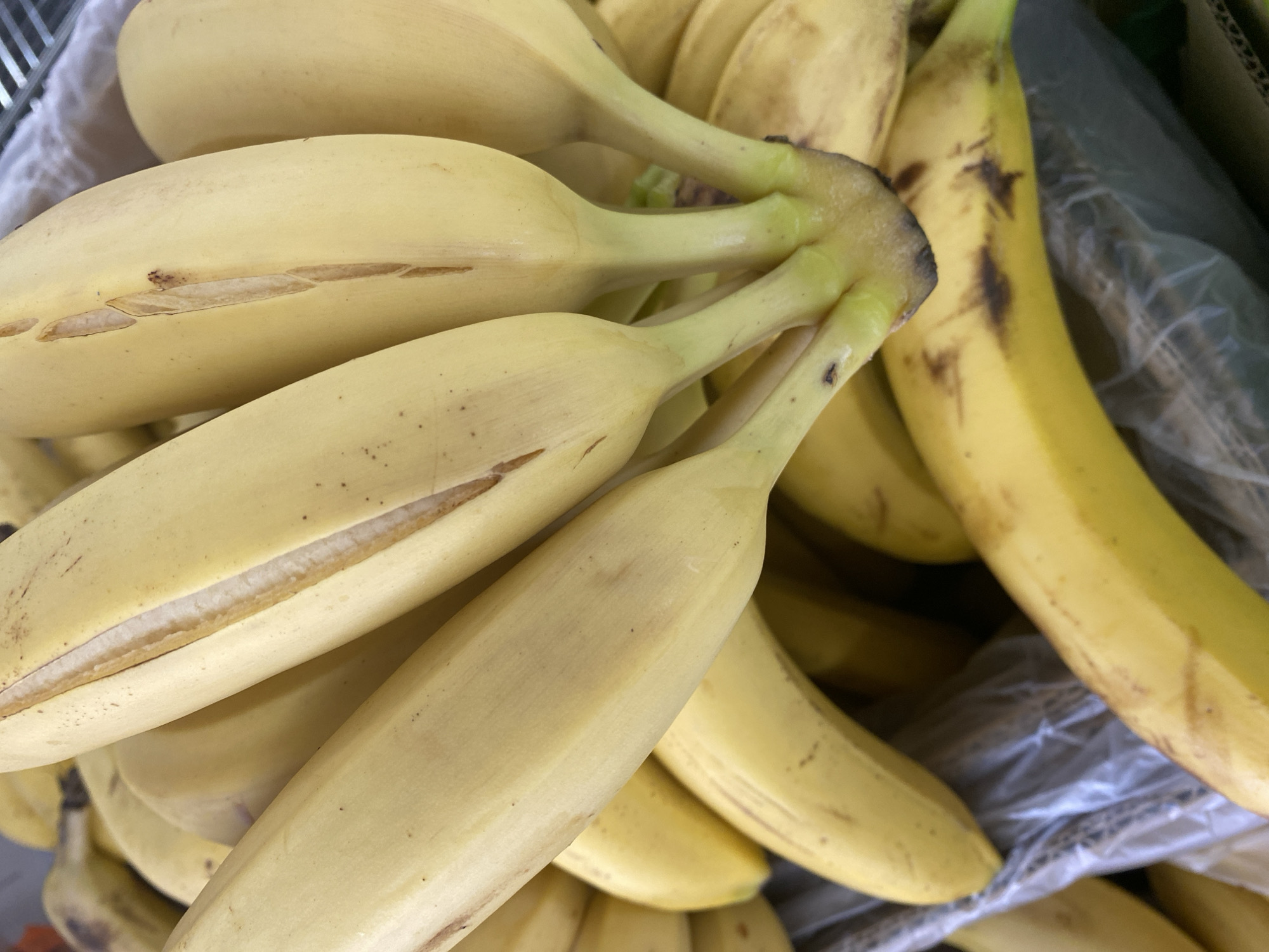 A close-up, overhead shot shows a bunch of ripe yellow bananas in a store. The bananas are mostly whole, with some showing a slit down the side, exposing the white flesh. A few of the bananas have brown spots, indicating ripeness. The bananas are packed in a clear plastic bag, with some of the bag visible at the bottom of the frame. The bananas are arranged in a loose bunch, with the stems pointing towards the center. The background is blurred, but appears to be a store aisle. There are no people visible in the image. The image does not provide any information about its location in Moscow, Russia.
