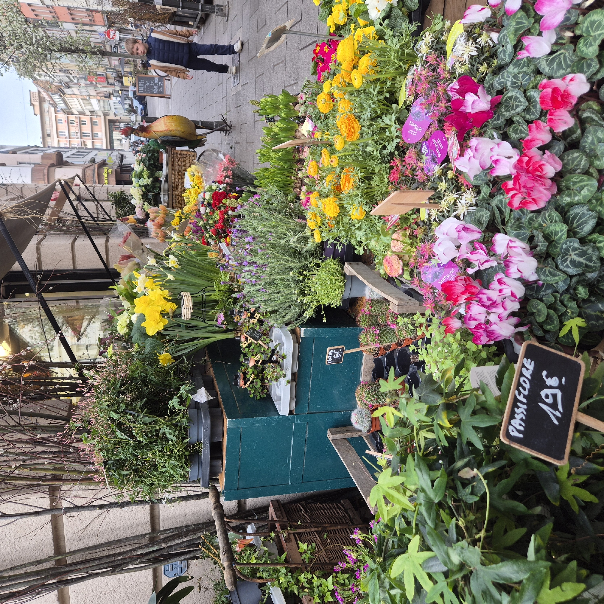 This image depicts a vibrant street scene in Strasbourg, France, focused on an outdoor flower and plant display. The foreground features a paved sidewalk and a dense arrangement of potted plants. Prominently displayed are pink and white cyclamen, various green foliage plants including a 'Passiflore' with a "19€" price tag on a small chalkboard sign, and multiple small potted cacti, some with pink blooms, one with a "CACTUS 5€" sign.
The midground is dominated by an extensive flower shop display extending from a building's facade. This display includes multiple tiers of wooden and metal stands holding a wide variety of potted plants and cut flowers. Among them are bright yellow daffodils, orange and yellow ranunculus, purple lavender, green shoots of hyacinths, and other mixed bouquets wrapped in clear plastic. Bare branches, some with small pink buds, are arranged against the beige building wall. To the right of the floral display, a large, stylized metal rooster sculpture, painted yellow and red, stands on the sidewalk, facing right.
Further down the paved street, a young boy, approximately 5-7 years old, walks away from the viewer. He wears a navy blue puffer vest over a light brown jacket and dark trousers. The background shows a typical European street lined with multi-story buildings of varying architectural styles and colors, including beige, light orange, and grey. An arched structure connects two buildings in the distance. A "Carrefour City" sign is visible on one of the buildings. A tree with white blossoms stands on the right side of the street, next to a partially visible chalkboard sign advertising "TULIPES" and other items. The sky is overcast. No direct interactions between people are observed.