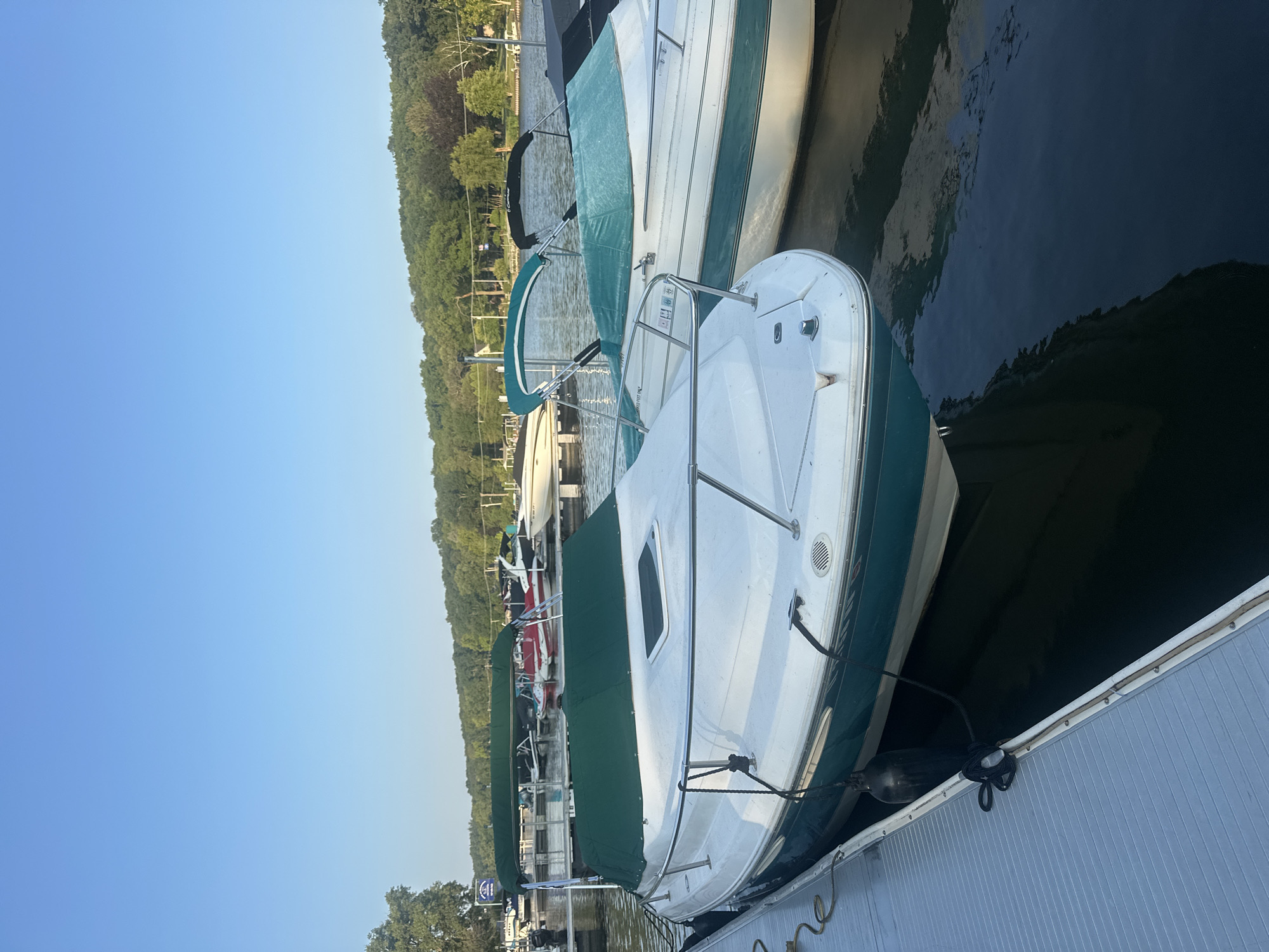 The image depicts a marina scene in Algonquin, Illinois, USA, on a clear day with a bright blue sky. Several boats are docked along a gray plastic dock. The foreground features a white and teal boat covered with a green tarp. To its right, another white and teal boat, also partially covered with a teal tarp, is docked. In the background, more boats are visible, some with covers and some without, as well as a tree-lined shore. The water is dark and calm, reflecting the sky and the boats.