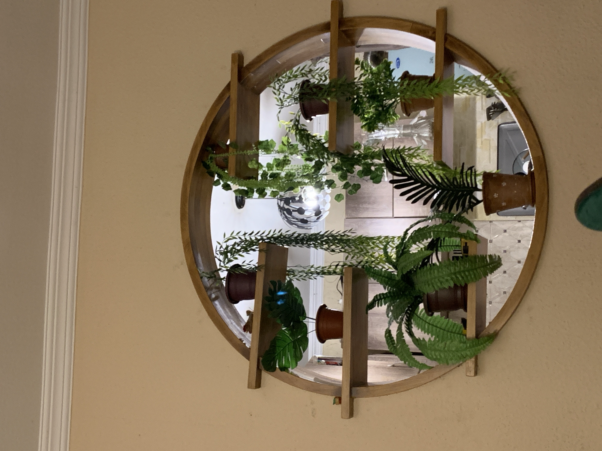 A wooden-framed circular mirror is mounted on a beige wall. The mirror is divided into three horizontal wooden shelves, each holding potted plants. The top shelf has a small brown pot with a plant and a small decorative item. The middle shelf features a large potted plant with broad leaves and a hanging vine. The bottom shelf displays a smaller potted fern and a potted plant with feathery leaves. The background visible through the mirror shows kitchen cabinets and a patterned backsplash. The image is taken from a medium distance, capturing the entire mirror and its contents.