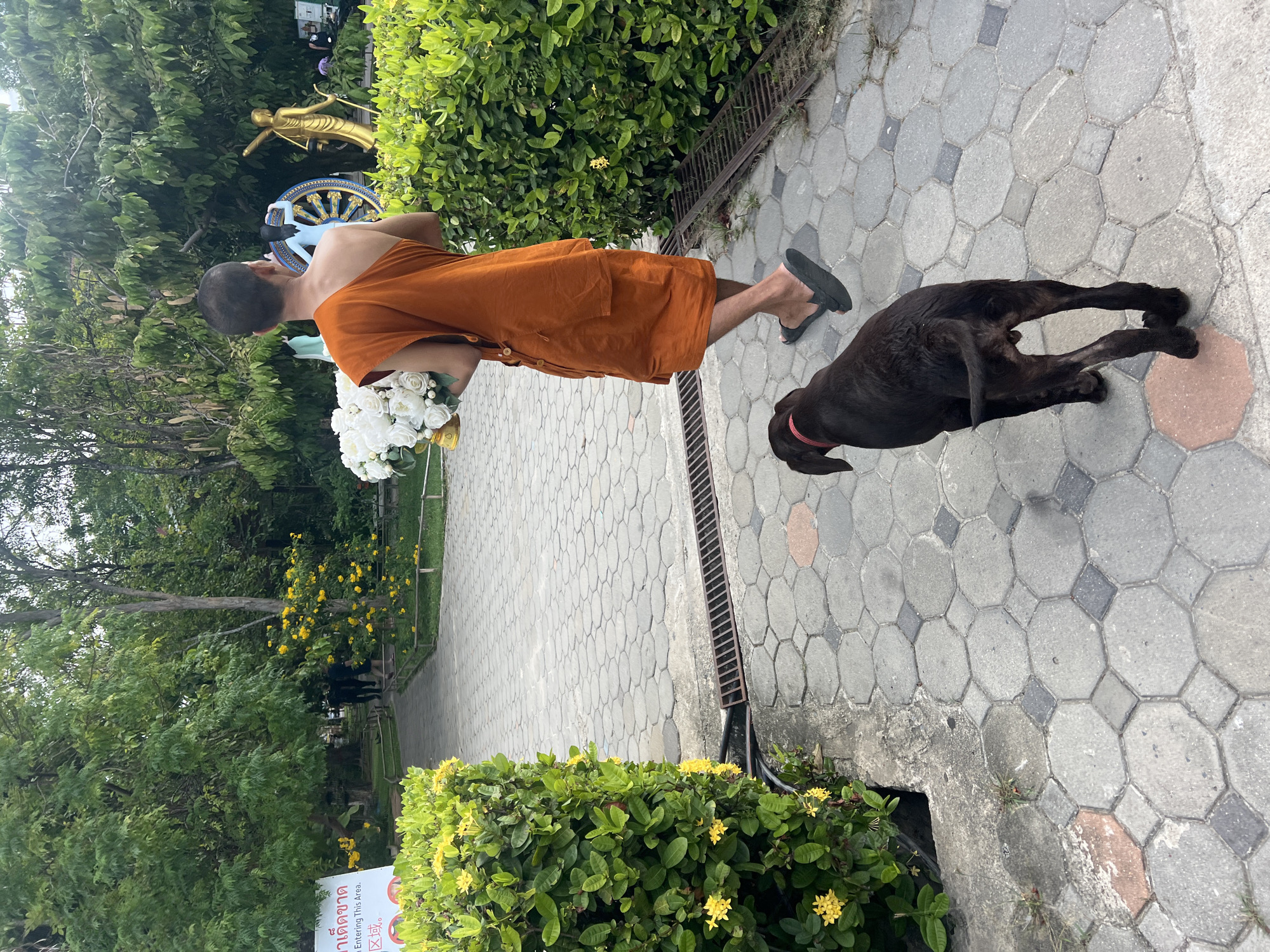 In Baan Plai Laem, Thailand, a young Buddhist monk in an orange robe walks on a paved path with a bouquet of white flowers. A dark-colored dog with a red collar follows behind him. The monk is carrying the flowers in a golden vase. The path is lined with green bushes and trees. In the background, statues of Buddhist figures and a large Dharma wheel are visible. The sky is overcast.