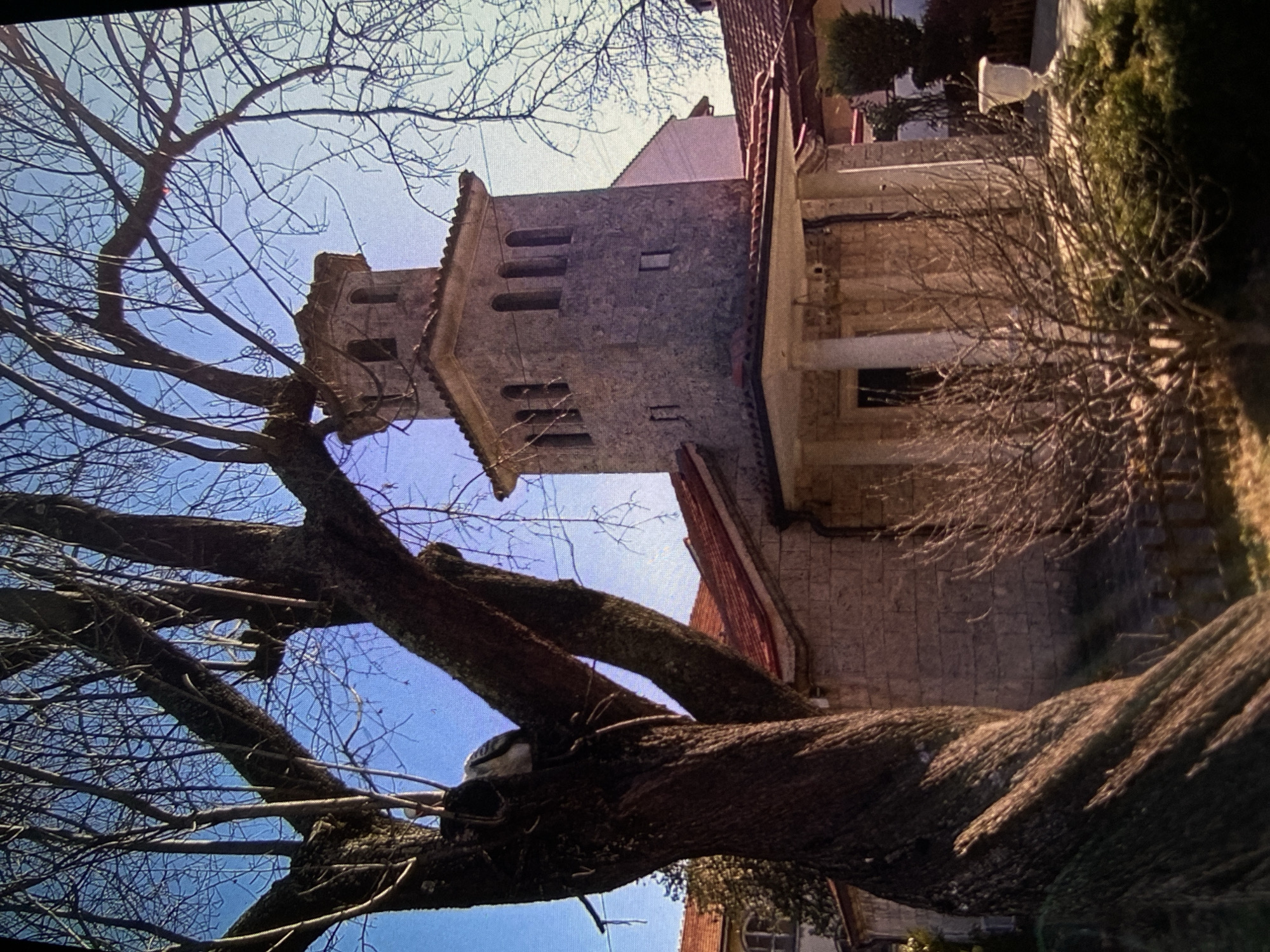 The image presents a sunlit outdoor scene in Bankya, Bulgaria, dominated by a large, ancient deciduous tree in the foreground, its thick, gnarled, and leafless branches extending across the frame against a clear, bright blue sky.
In the midground, to the right, stands a prominent stone building, likely a church or a bell tower, featuring traditional red-tiled roofs. The visible side of this structure is built from light-colored stone and includes architectural details such as three vertically elongated, rectangular arched openings, possibly housing bells, and smaller rectangular windows. The design suggests a historic European, likely Balkan, style. Adjacent and behind this main building are other structures, also with red-tiled roofs, blending into the townscape.
The scene is captured during bright daylight hours, indicated by the clear sky and well-defined lighting, suggesting fair weather. There is no visible human activity or discernible text within the image. The leafless state of the prominent tree suggests either late autumn, winter, or early spring. Green foliage from other plants, possibly hedges or bushes, is visible around the base of the buildings and on the right side of the frame, adding to the natural elements of the setting. The overall impression is one of peaceful solitude in a historic location.