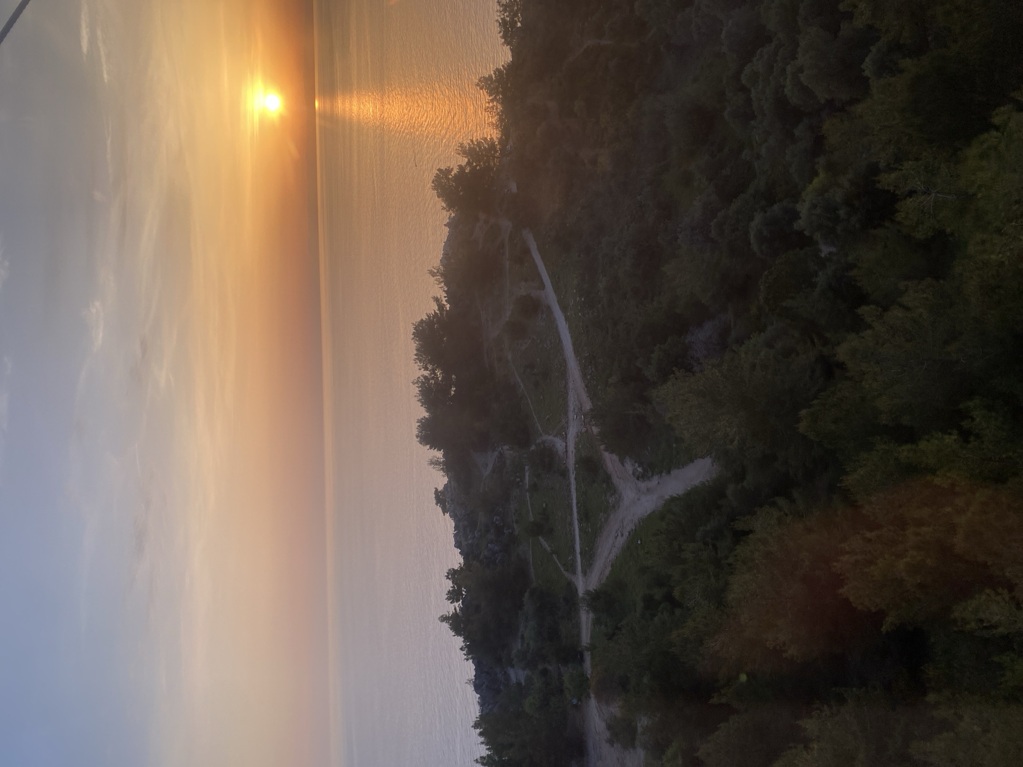 The image captures a sunset over the Mediterranean Sea in Alanya, Turkey. A coastline with dense, dark-green vegetation runs along the right side of the image. A series of dirt paths or trails is visible within the vegetation. The sun, a bright yellow-orange orb, is near the horizon on the left, with a reflection of its light stretching across the water towards the viewer. The sky transitions from a pale blue-grey on the left to a warm yellow-orange near the sun.