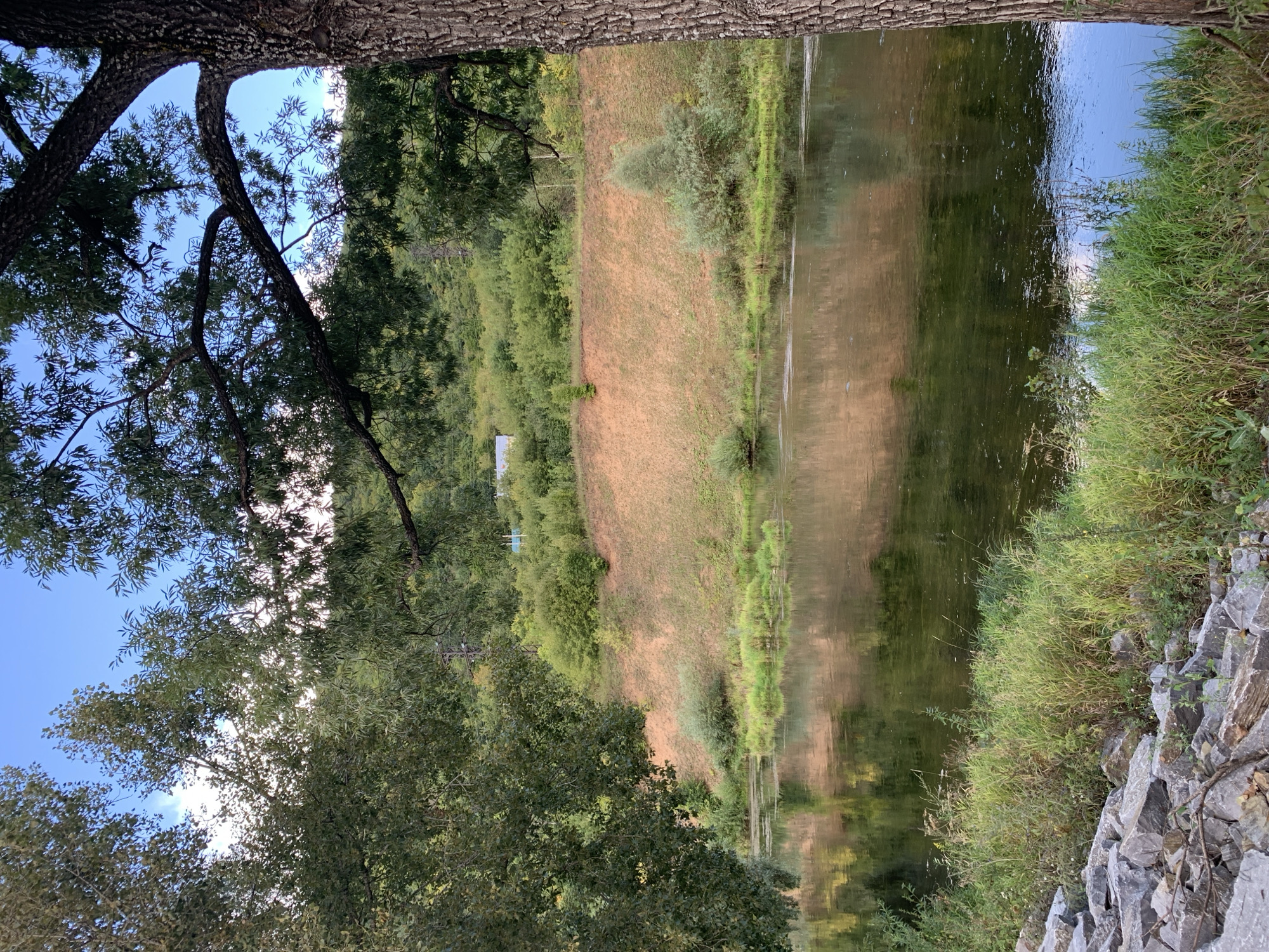 The image depicts a serene natural landscape, likely in the vicinity of Asha, Russia, featuring a calm river reflecting the sky and surrounding greenery. On the left side of the frame, a large tree with thick branches partially obscures the view of a hillside covered in dense vegetation. The hillside itself is a mix of green bushes and a reddish-brown, possibly eroded, slope. In the background, a small, light-colored structure, possibly a building, is visible atop the hill. The river in the foreground is wide and still, with a dark, reflective surface broken only by subtle ripples. The riverbank on the right is lined with rocks and lush green grass. The sky above is a clear blue with a few wispy white clouds. The overall impression is one of natural tranquility.