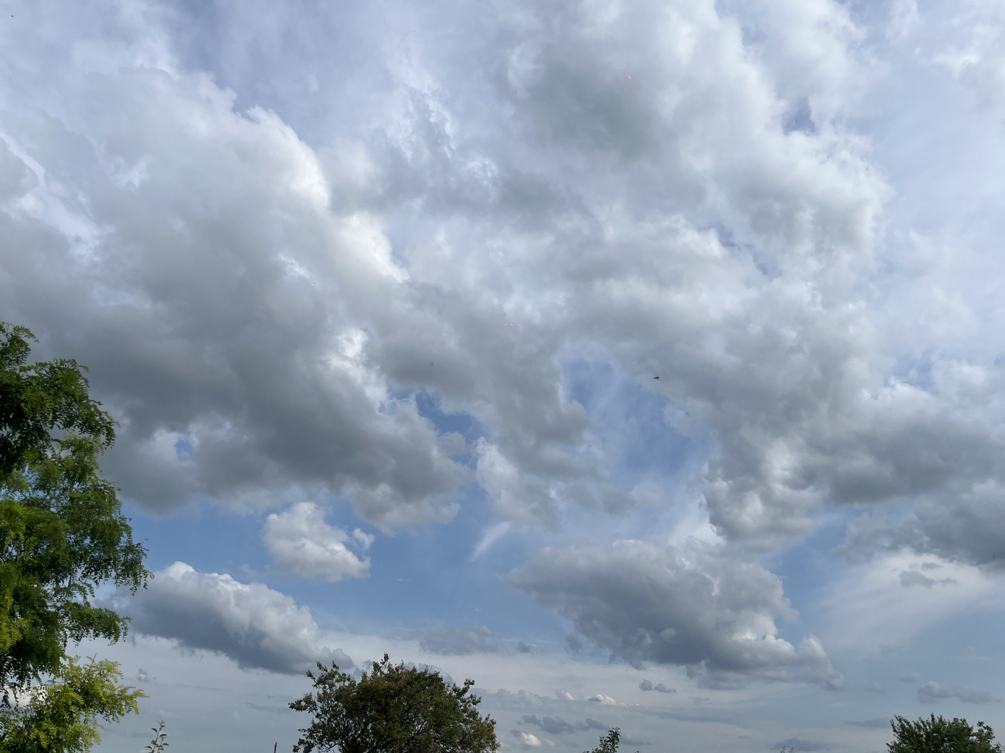 The image depicts a sky filled with a mixture of dense, gray clouds and patches of blue sky. The clouds vary in shape and texture, with some appearing wispy and others more solid and imposing. In the lower left corner, the top of a large tree with green foliage is visible. The rest of the foreground is obscured by the sky. There are no visible people, buildings, or other discernable structures in the image, suggesting an outdoor scene focused on the sky and natural elements. The overall impression is one of a potentially overcast or changing weather day. The location in Novopokrovskaya, Russia, implies a temperate climate, which would be consistent with this type of cloud formation and vegetation.