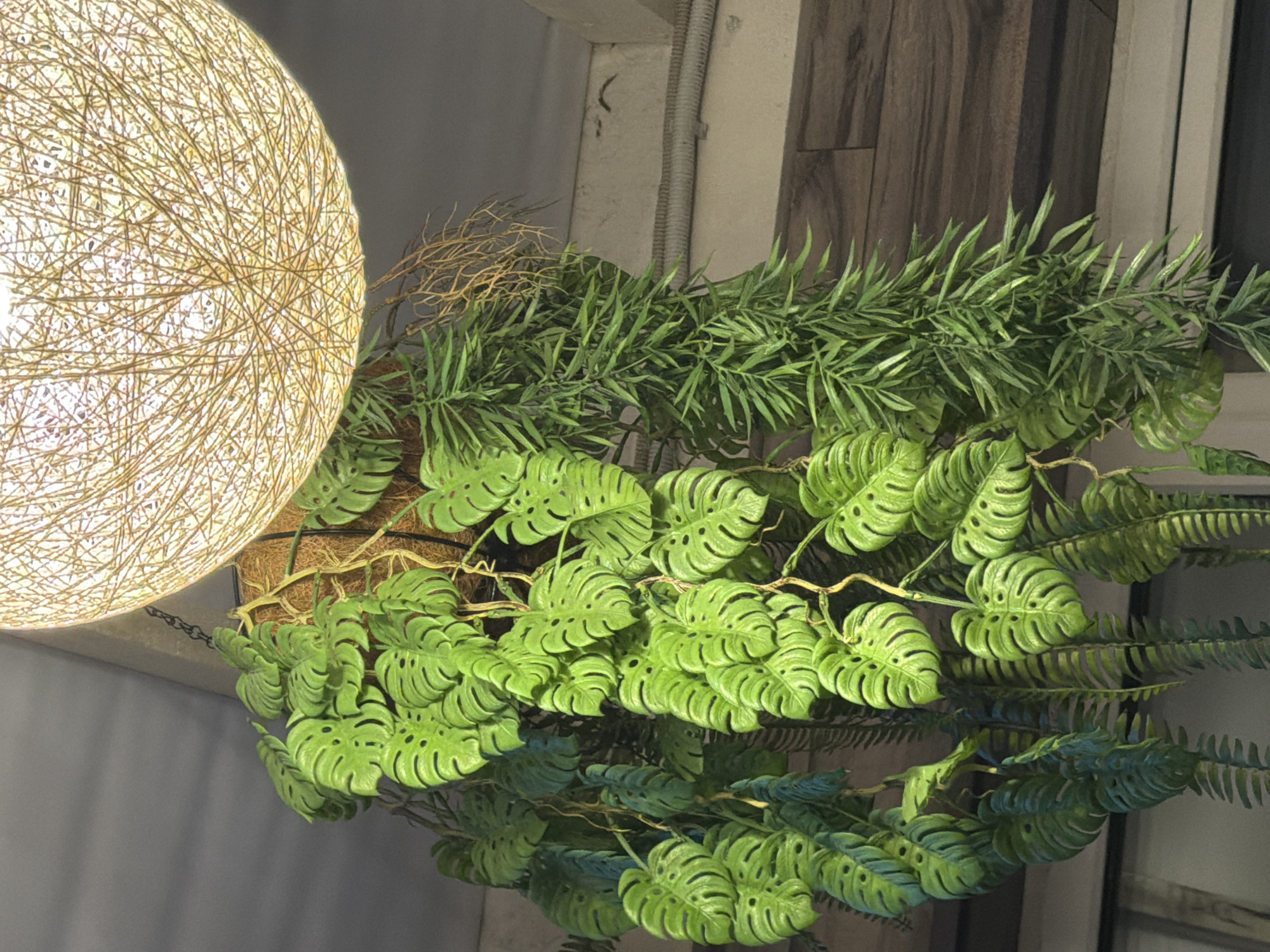 A hanging basket with two types of artificial plants is suspended from the ceiling. The larger plant, on the left, has large, green leaves with distinct fenestrations. The smaller plant, on the right, is a trailing vine with delicate, needle-like leaves. A large, spherical light fixture made of woven string hangs above the plants. The background consists of a grey ceiling, a white textured wall, and a section of wood-paneled wall.