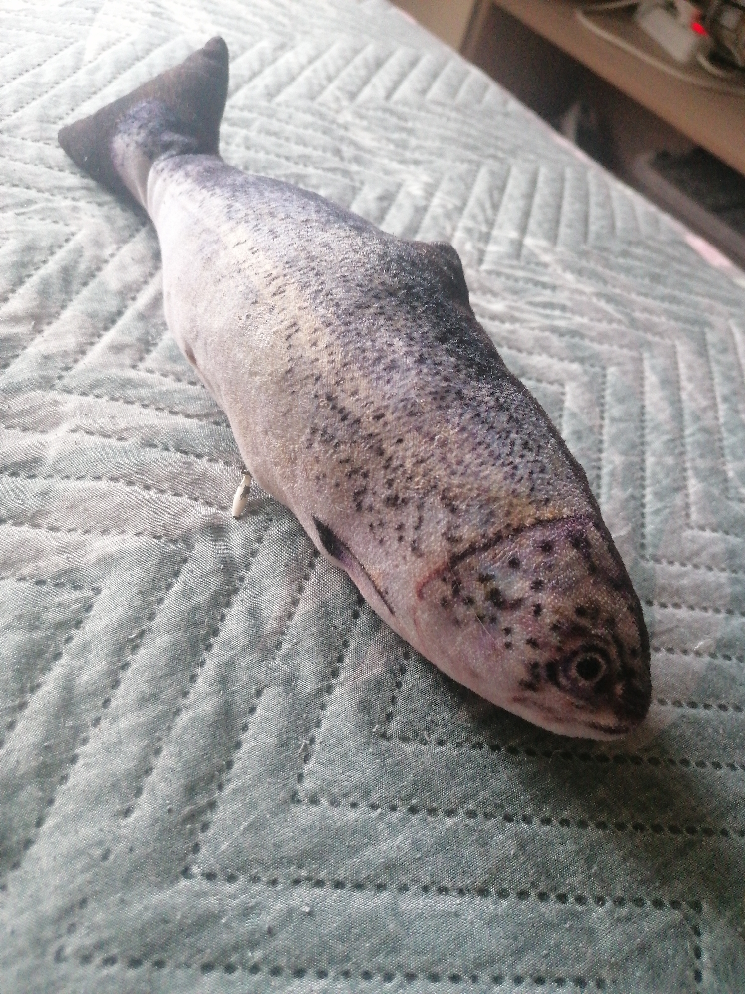 A plush toy fish is lying on a quilted light blue surface. The toy is oriented horizontally, with its tail on the left and its head on the right. The fish has realistic detailing, including dark spots on its scales and a visible eye. A small white tag is protruding from the underside of the toy, near the head. The background is out of focus but appears to be a shelf or surface with some electronic devices. This image was taken in Angarsk, Russia.