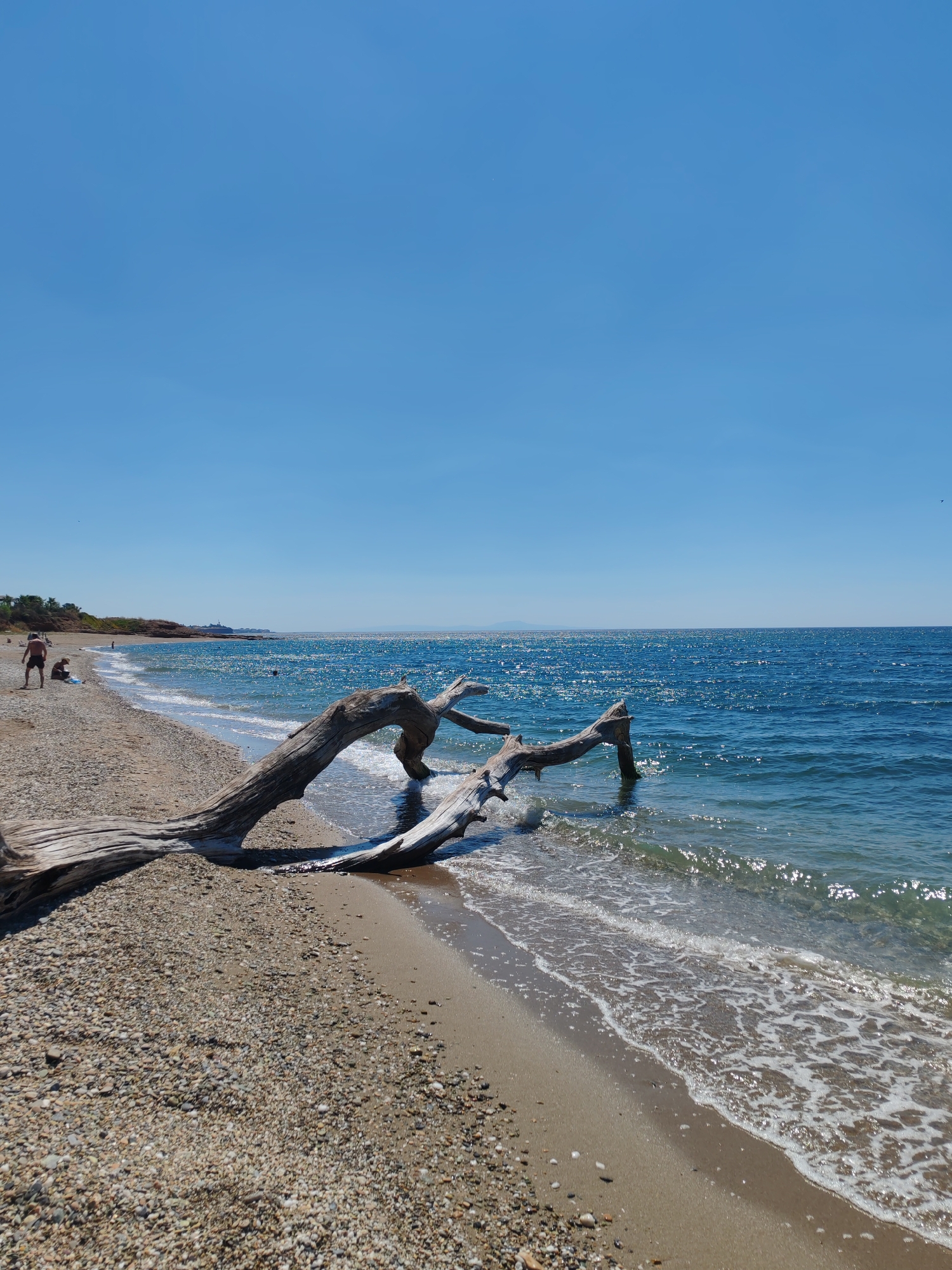 The image depicts a tranquil beach scene on a clear, sunny day. The vast, azure sky stretches across the top half of the frame, meeting the deep blue sea at the horizon. The water is calm, with sunlight glinting off its surface, creating a sparkling effect. Gentle waves lap at the shore, leaving trails of white foam on the sand.
In the foreground, a large, weathered piece of driftwood lies partially submerged in the shallow water and extending onto the pebbly beach. Its gnarled branches create an interesting natural sculpture against the backdrop of the sea. The beach itself is a mix of sand and small pebbles.
Further down the beach, a few people are visible. One person stands near the water's edge, while another is seated on the pebbly shore. Their presence adds a sense of human scale and a relaxed atmosphere to the scene, suggesting a leisurely day at the beach. In the distance, a coastline with vegetation and some buildings can be seen, hinting at a developed area nearby. The overall mood is one of peaceful relaxation and natural beauty. The location appears to be Alexandroupolis, Greece, based on the context. There is no visible text in the image.