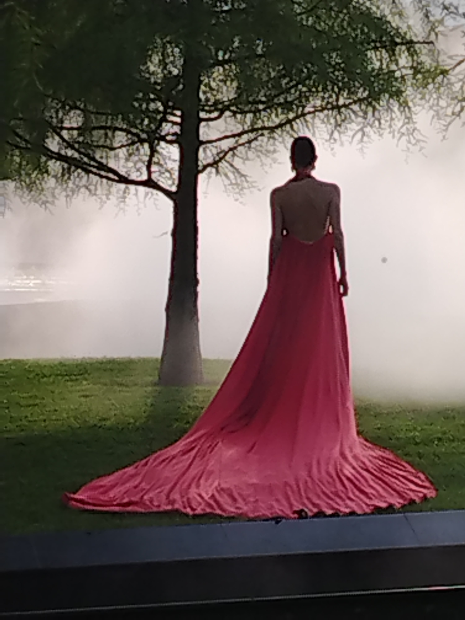 The image captures a rear view of a person wearing a long, flowing red dress with an open back, standing on a grassy area. A bare tree with sparse branches is positioned to the left of the person. Behind them, there is a hazy, white mist, and to the far left, a hint of water is visible. The overall setting appears to be outdoors. The image does not contain any specific details that would allow for identification of its location in Krasnodar, Russia.