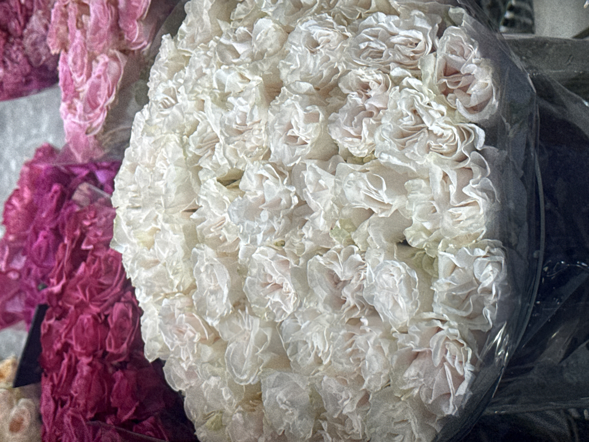 The image depicts a close-up, head-on view of a large bouquet of pale pink and white roses, presented in a clear plastic wrapper. The bouquet is the dominant subject, filling most of the frame. In the background, out of focus, are more flowers, appearing to be vibrant fuchsia and lighter pink varieties, suggesting a floral shop or market setting. The lighting is soft, highlighting the delicate textures and layers of the rose petals. There are no people or discernible action depicted. The scene is likely indoors, given the arrangement of flowers and the controlled lighting. No specific location within Moscow, Russia can be identified from the visual information provided in the image.