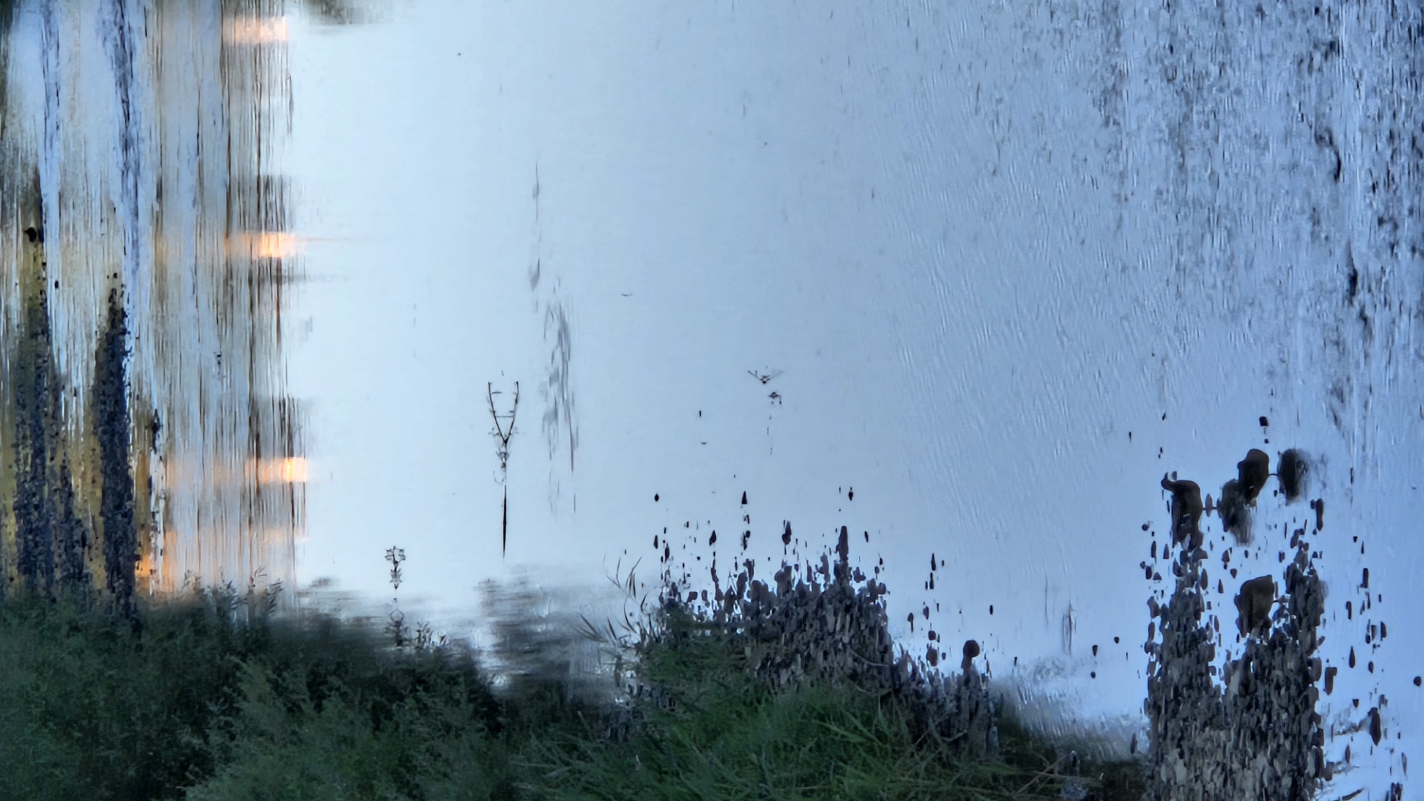 The image depicts a body of water, likely a river or stream, bordered by a grassy bank on the left. The water's surface reflects the sky and what appears to be a bridge or structure with vertical elements. There are a few small branches and debris floating on the water. In the foreground, on the rocky edge of the bank and partially in the water, are four ducks. Three of the ducks are clustered together on the bank, while one is standing slightly apart, facing towards the right. The overall scene suggests a natural environment within or near the city of Prešov, Slovakia, possibly at dawn or dusk given the lighting conditions and reflections.