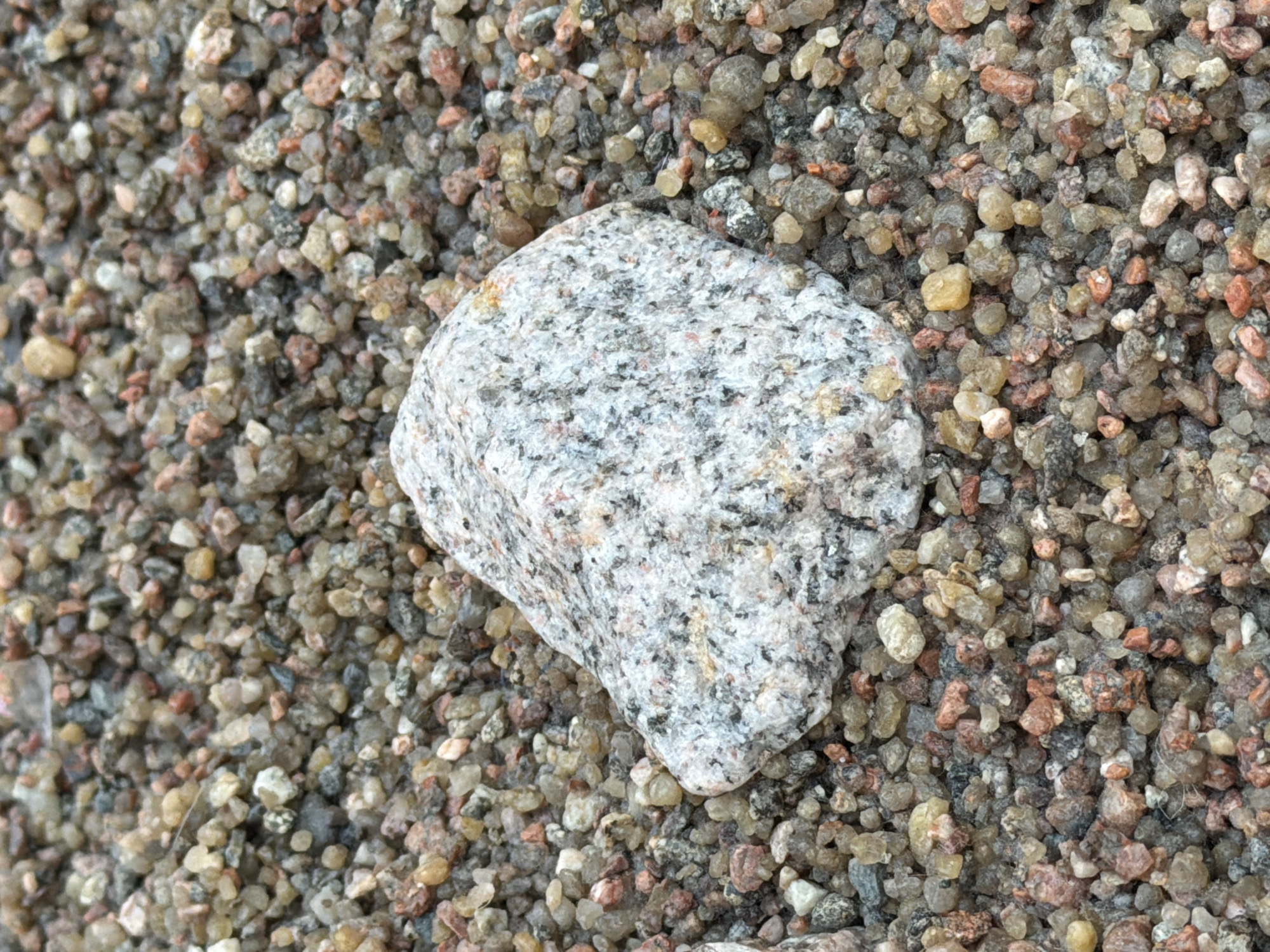 The image is a close-up, overhead view of a pile of coarse sand with a single, light-colored, speckled rock resting in the center. The sand is composed of small, irregularly shaped grains in various shades of brown, tan, grey, and pink, with some appearing translucent. The rock is roughly oval-shaped and has a mottled texture with flecks of black, grey, and pink against a white background. The background is entirely composed of the sand and pebbles. There are no people or discernible actions taking place. The environment appears to be an outdoor setting, possibly a construction site, a garden, or a natural sandy area. There is no specific visual information that would allow for the identification of the location within Tallinn, Estonia.
