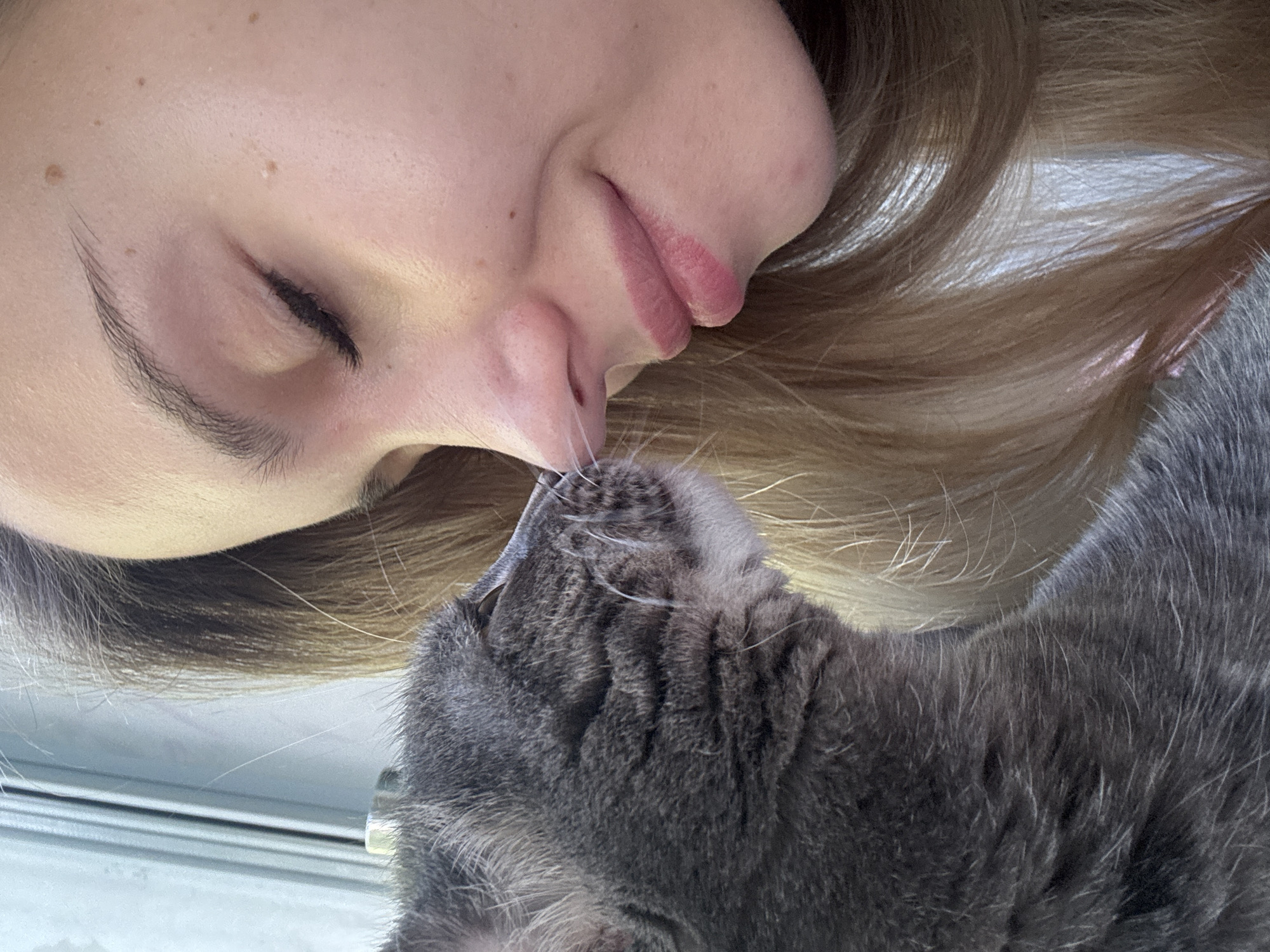 A close-up shot shows a young woman and a grey cat in what appears to be a domestic setting, possibly near a window with blinds. The woman's face is partially visible, turned to the side with her eyes closed and a gentle smile. Her blonde hair is also visible. The cat is nuzzling the woman's nose, its grey fur and whiskers clearly defined. The scene conveys a moment of affection and connection between the two subjects. There is no discernible indication of the city of Chaikovsky, Russia, or any specific urban environmental cues.
