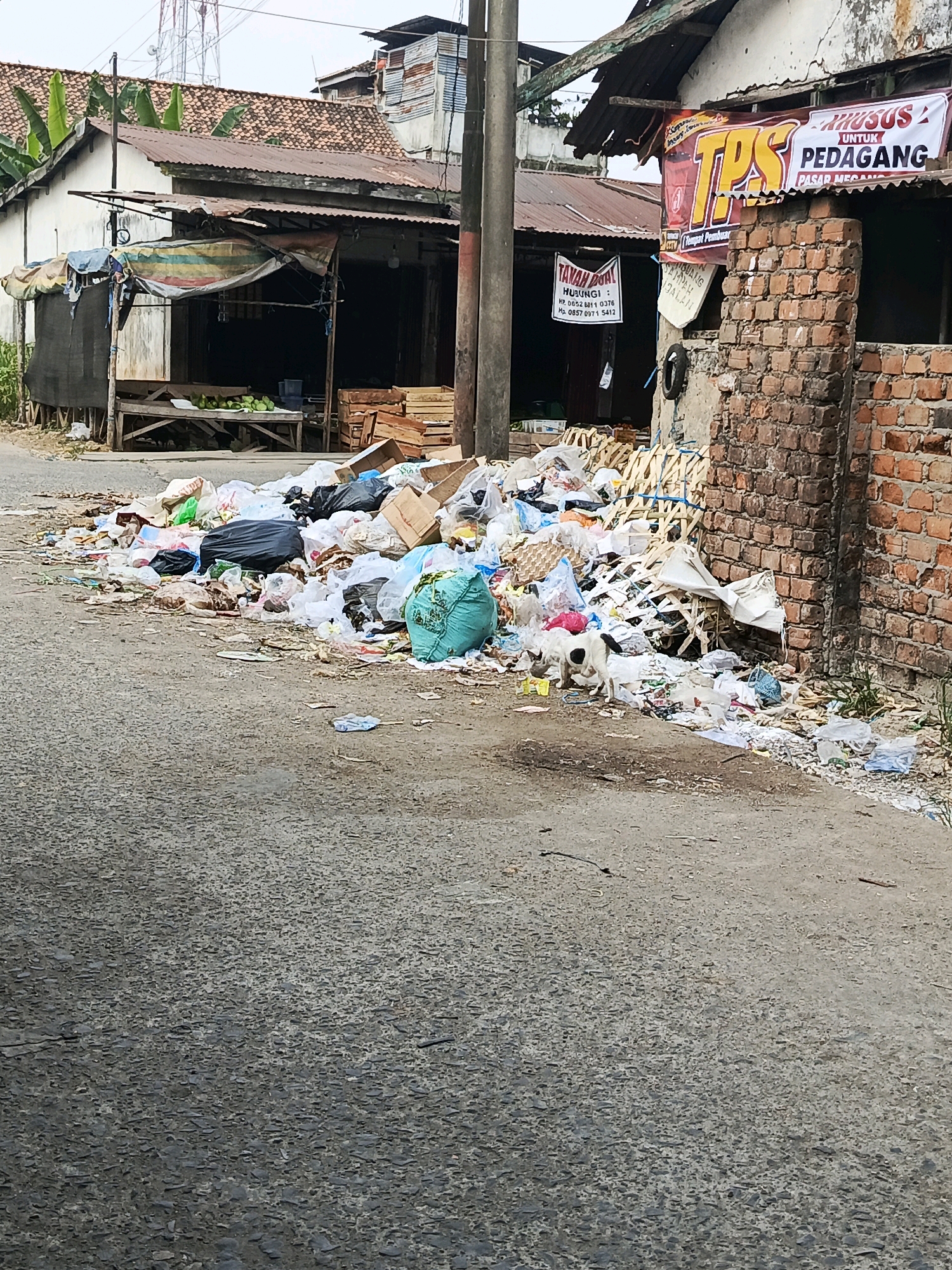 The image depicts a street scene in Megang Sakti I, Indonesia, characterized by a significant accumulation of garbage. The ground is heavily littered with various types of refuse, including plastic bags, cardboard boxes, and other debris, spilling onto the asphalt road. Several buildings line the street, some appearing dilapidated with corrugated metal roofs and brick walls. A sign, possibly advertising a market or waste disposal service, is visible on one of the buildings. In the foreground, a stray dog is foraging amongst the trash. The overall impression is one of neglect and poor waste management.
