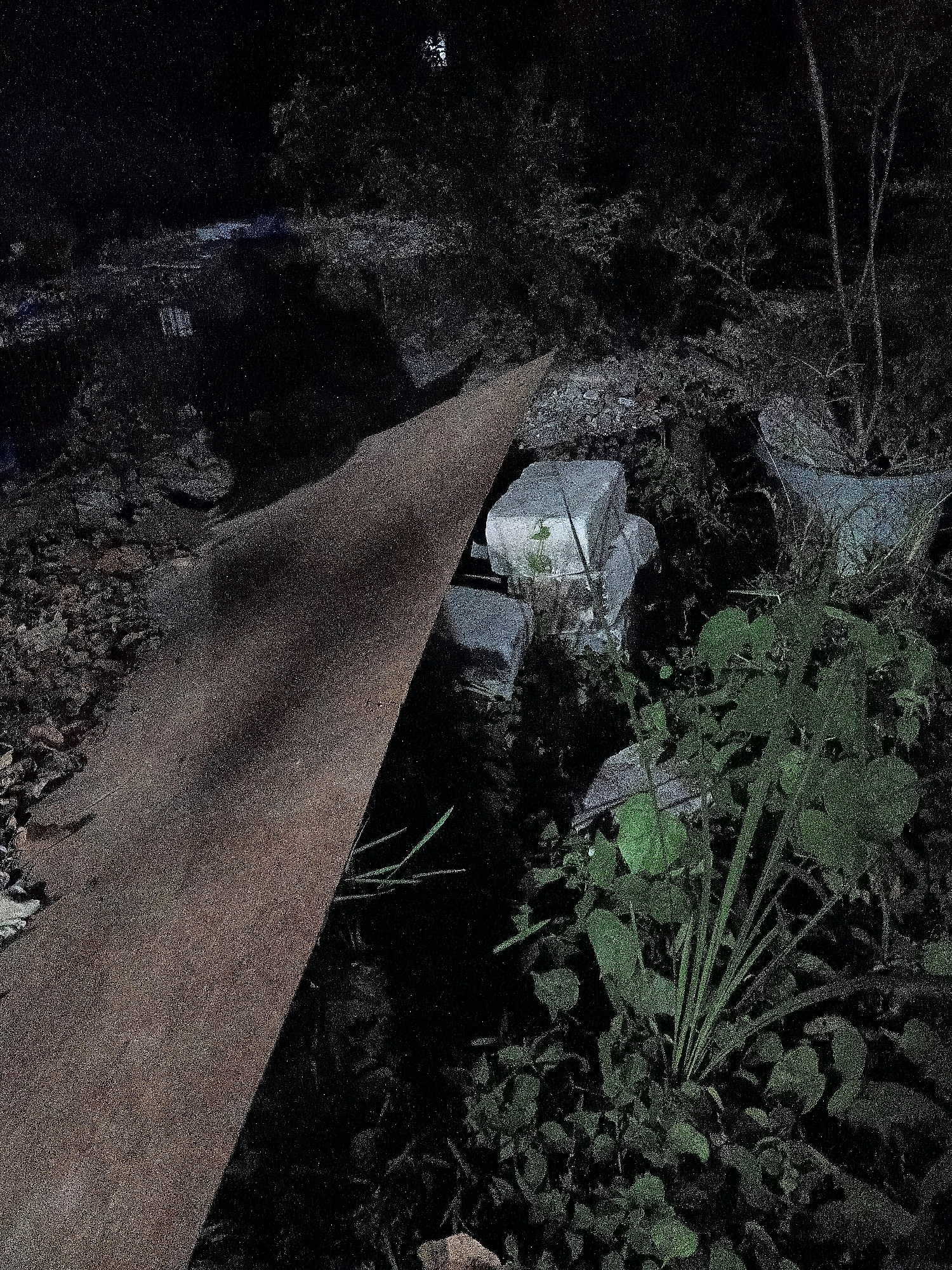 The image depicts a dark, outdoor scene, possibly in the city of Cikal, Indonesia. In the foreground, a large, rough-textured brown plank runs diagonally across the frame, obscuring a portion of the scene. To the right of the plank, lush green vegetation is visible, including broad leaves and thinner stalks. Beyond the vegetation, several light-colored rectangular objects, possibly concrete blocks, are scattered on the ground amidst other debris. The background is predominantly dark and out of focus, suggesting trees and foliage in shadow. The overall lighting is dim, with hints of artificial light or moonlight creating a somewhat eerie atmosphere.
